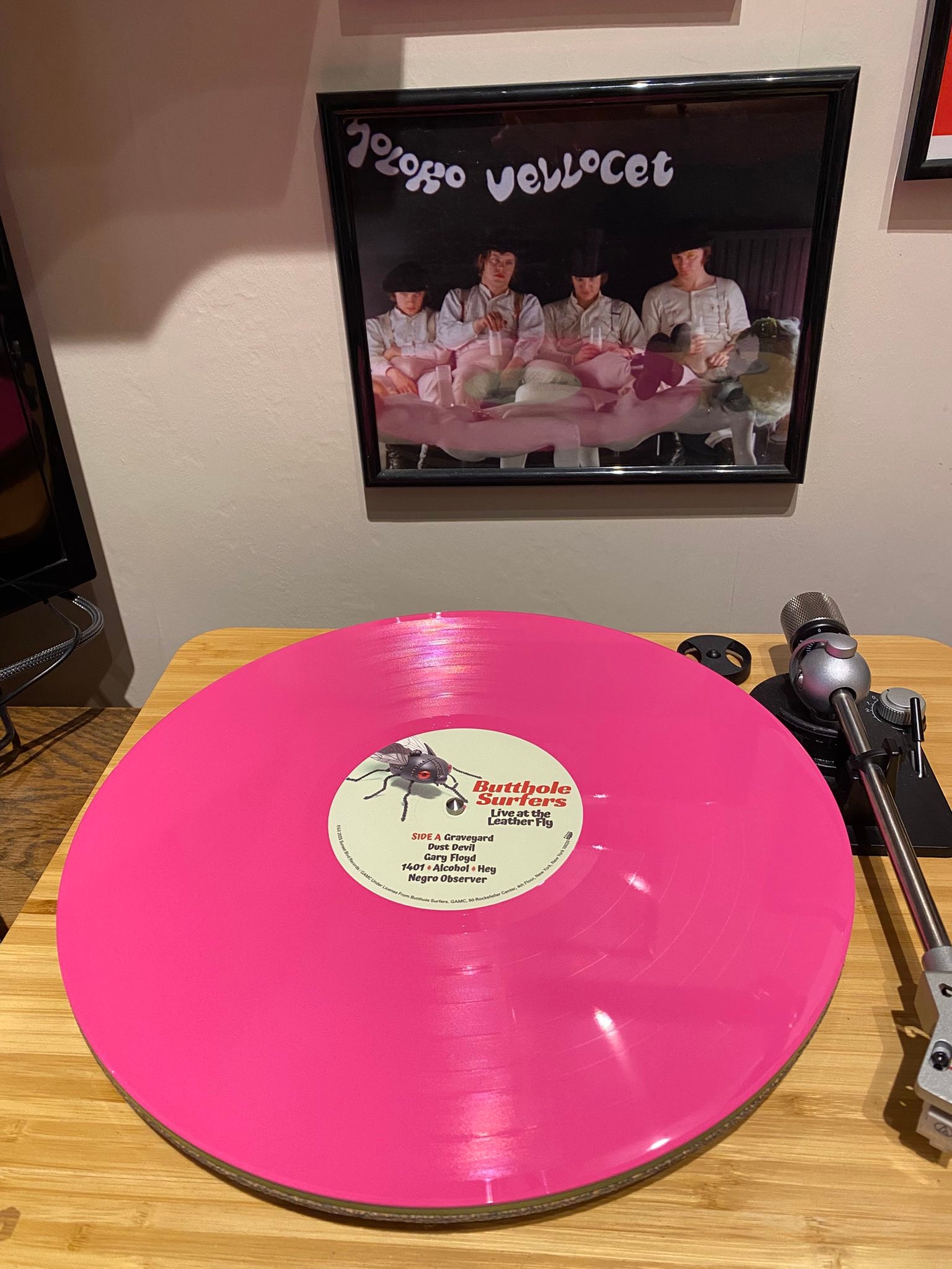 Butthole Surfers' Double Live vinyl still impresses after years