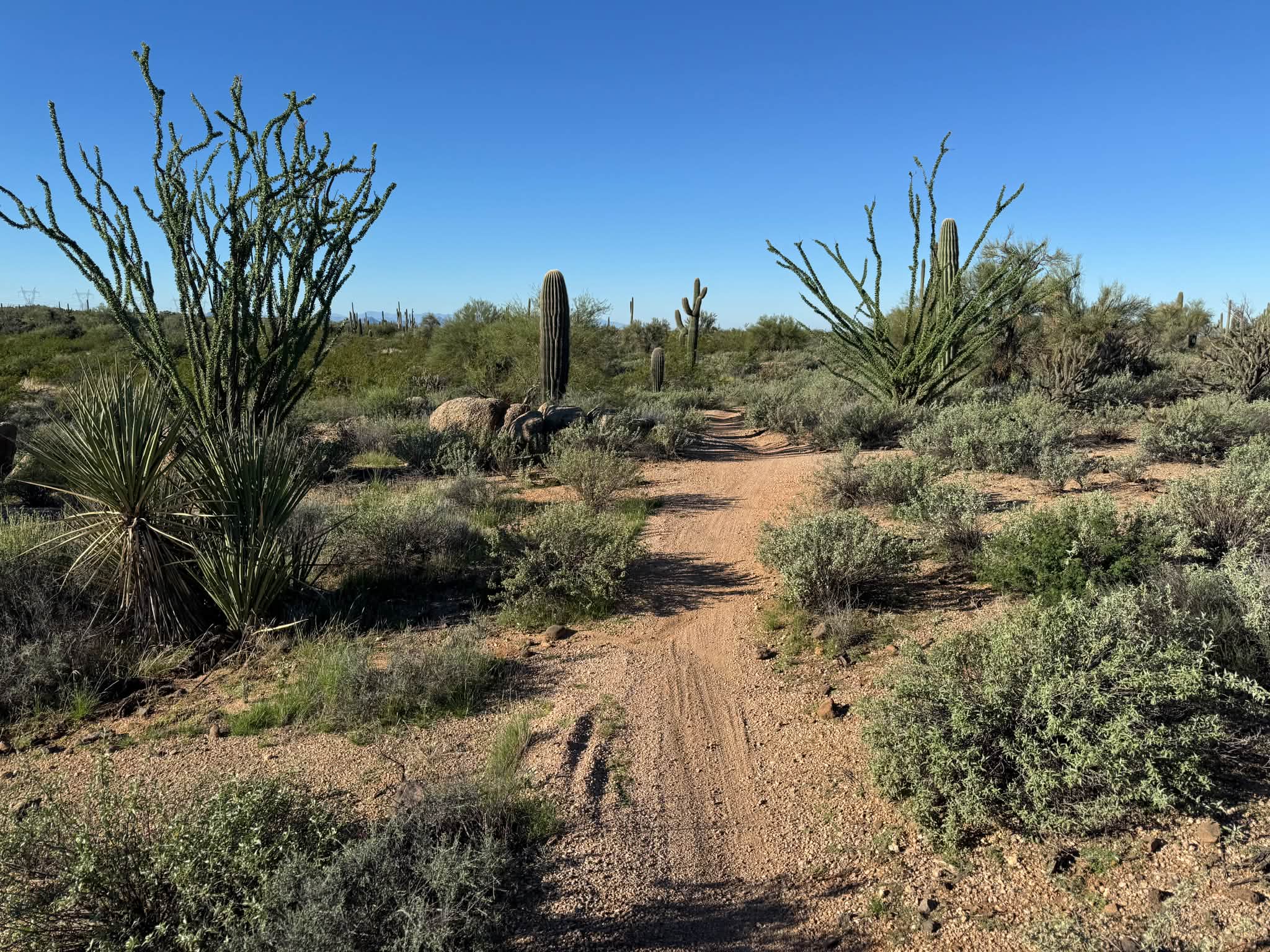 2017 KM zooming around the desert today.