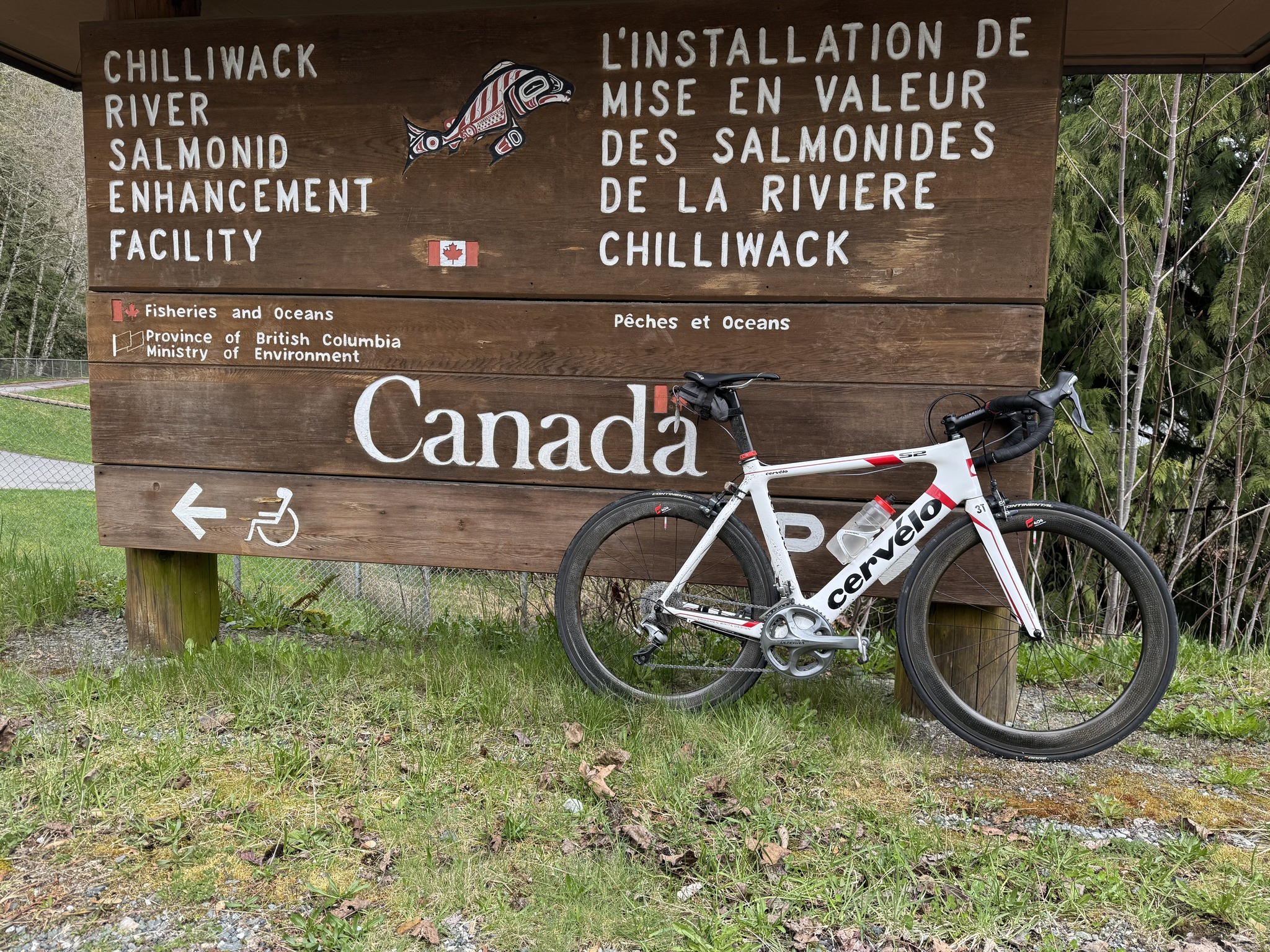 2010 Cervelo S2 Bike Build and Upgrades