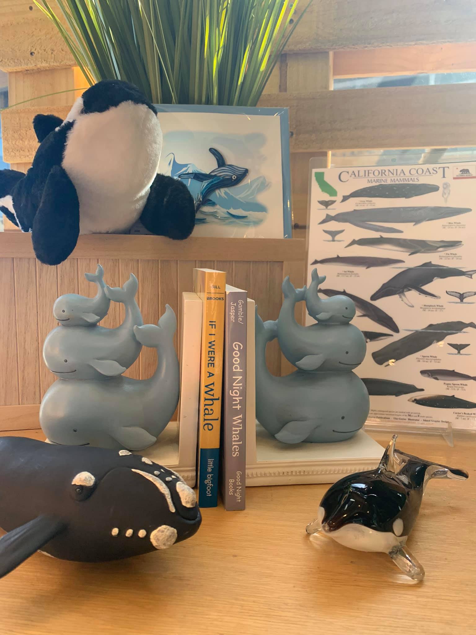 Ocean Institute - Shop with us this weekend during... | Facebook