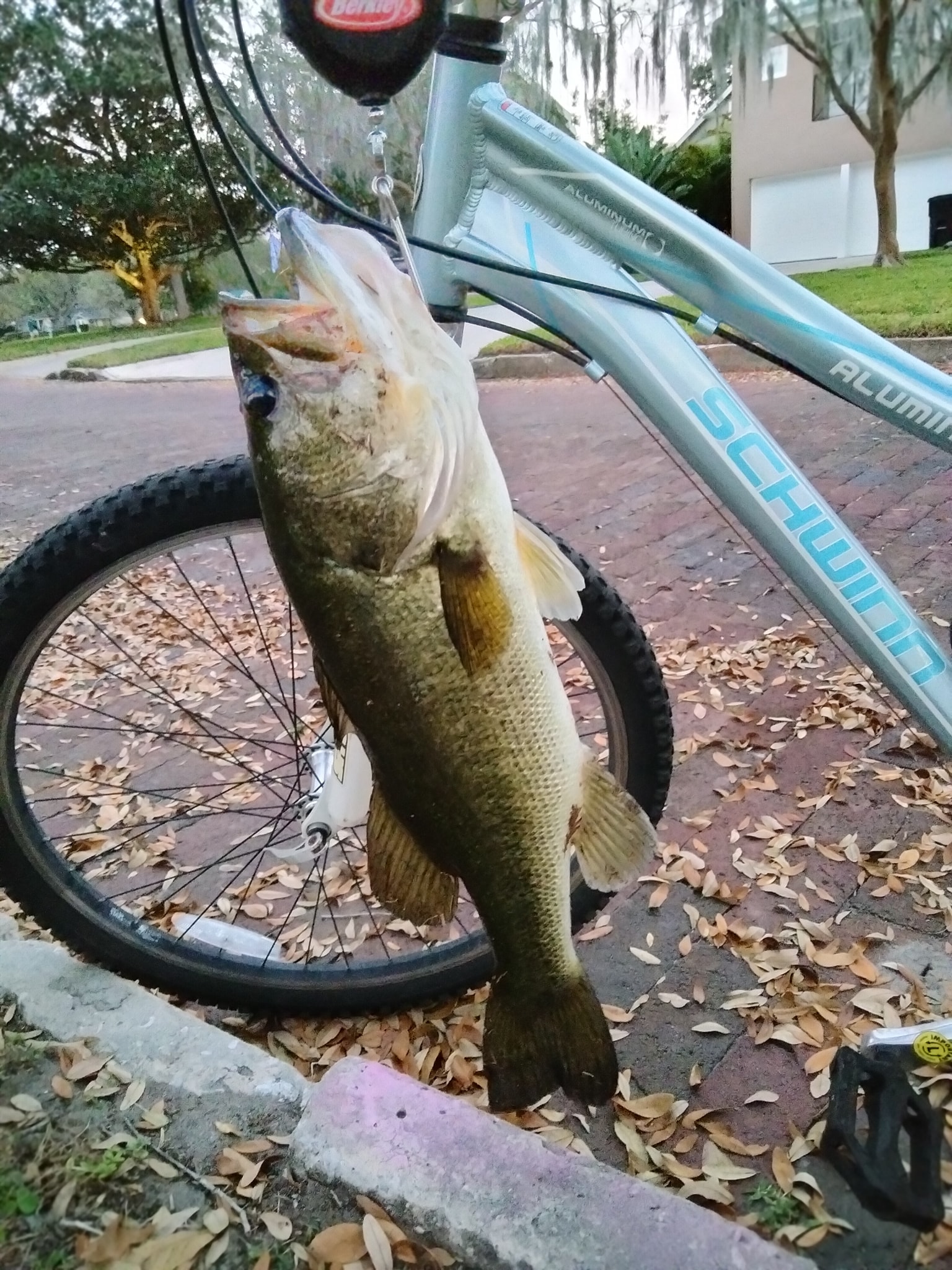 compare st croix rods wir St. Victory Casting Rod Model:ASIS73MHF Penn Battle Angler Kit design Ultra Cotton Cordell Pencil Popper