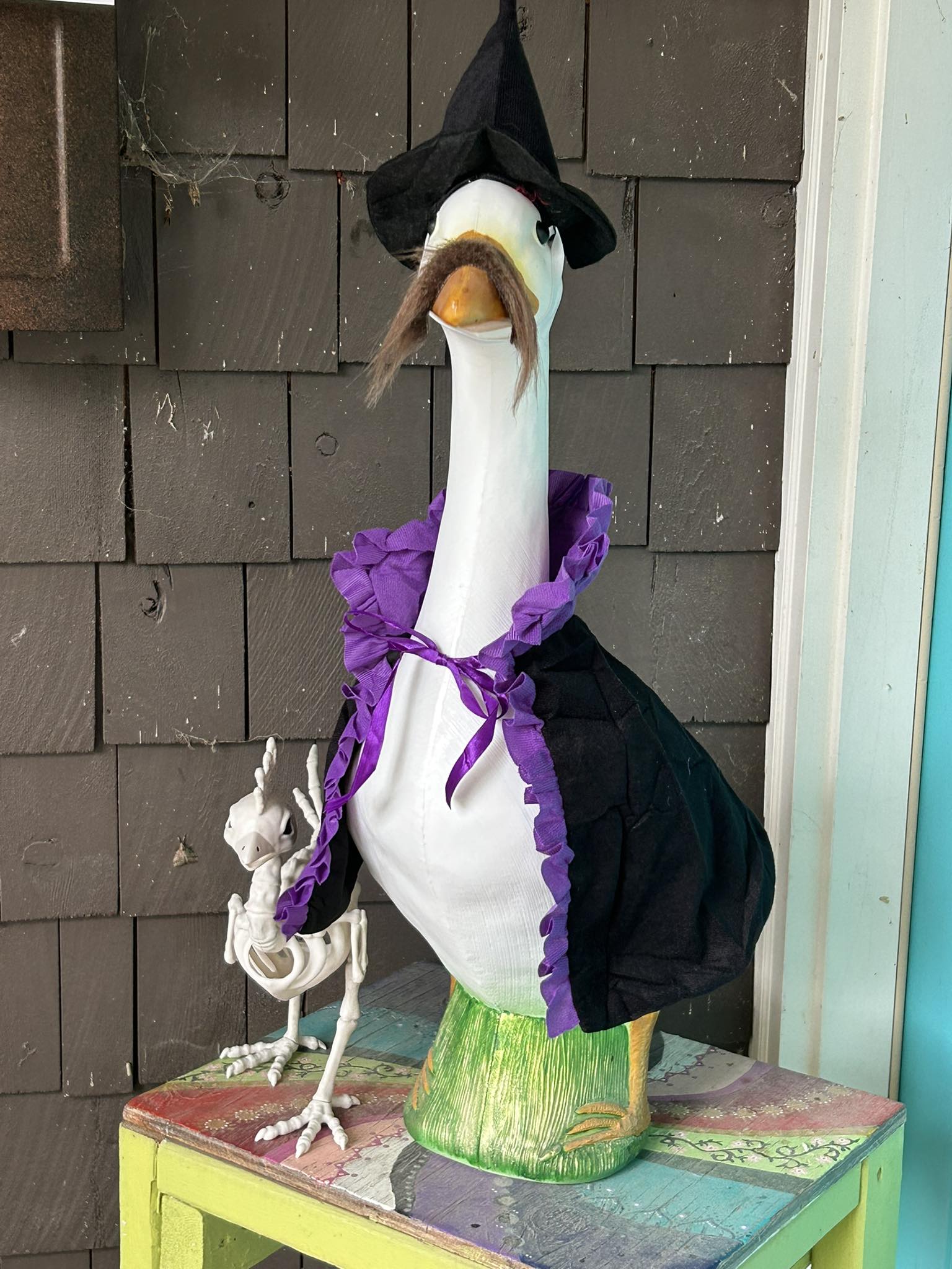 The Porch Goose Club of America | Pond Swanson is in his wizard era ...