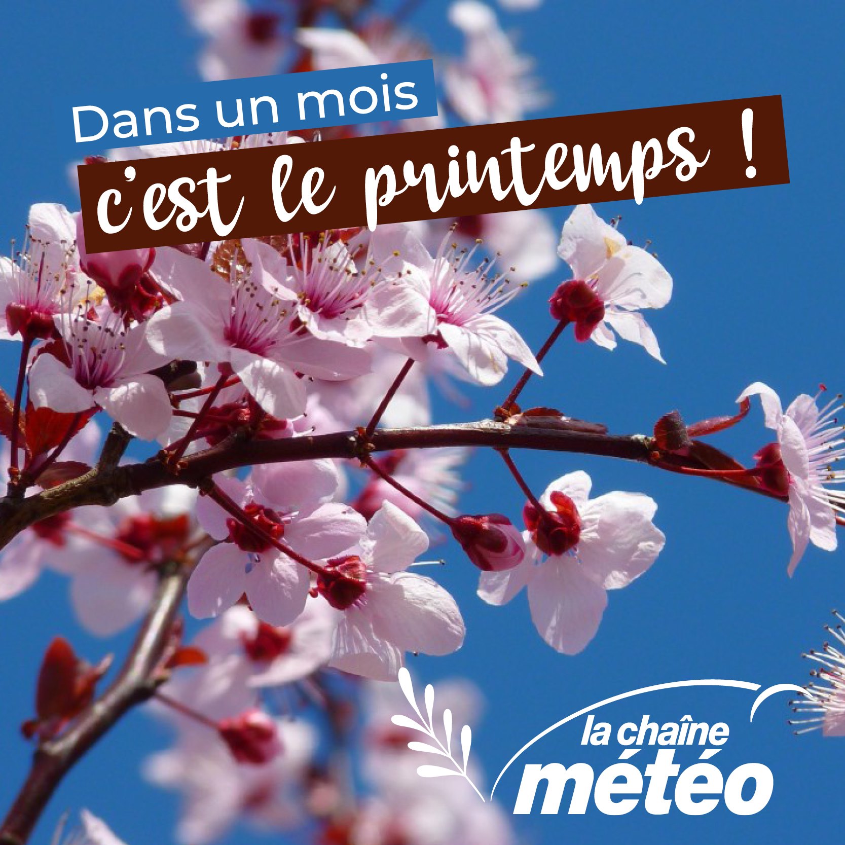Meteo L Hay Les Roses 15 Jours