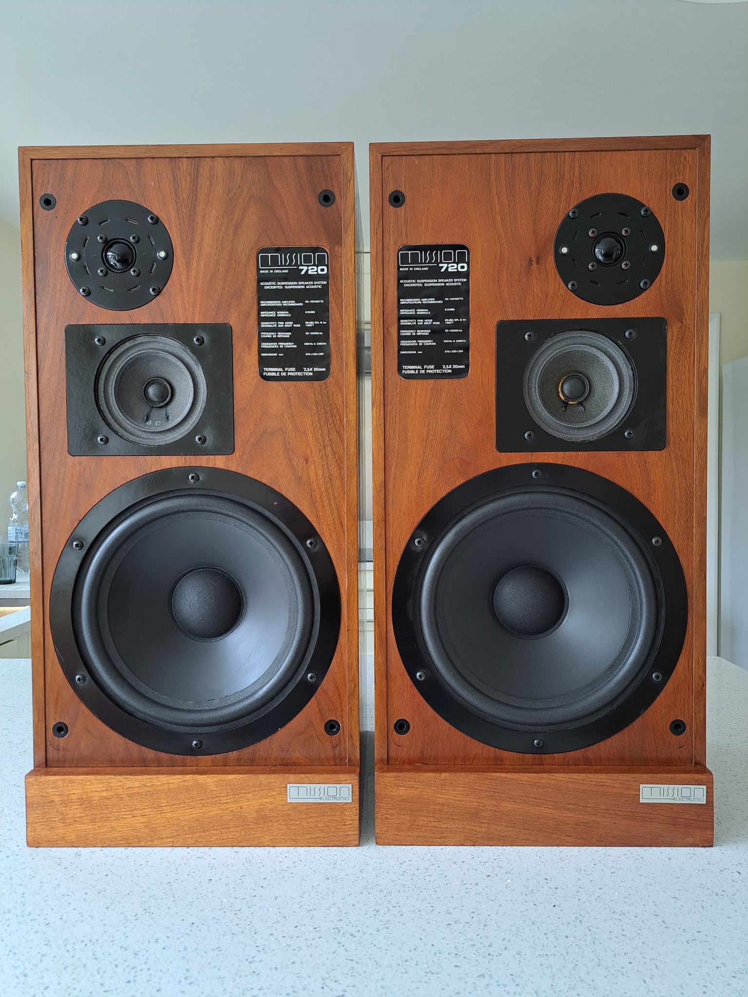 1972 Onkyo Radian 3 speakers rebuilt with great sound quality