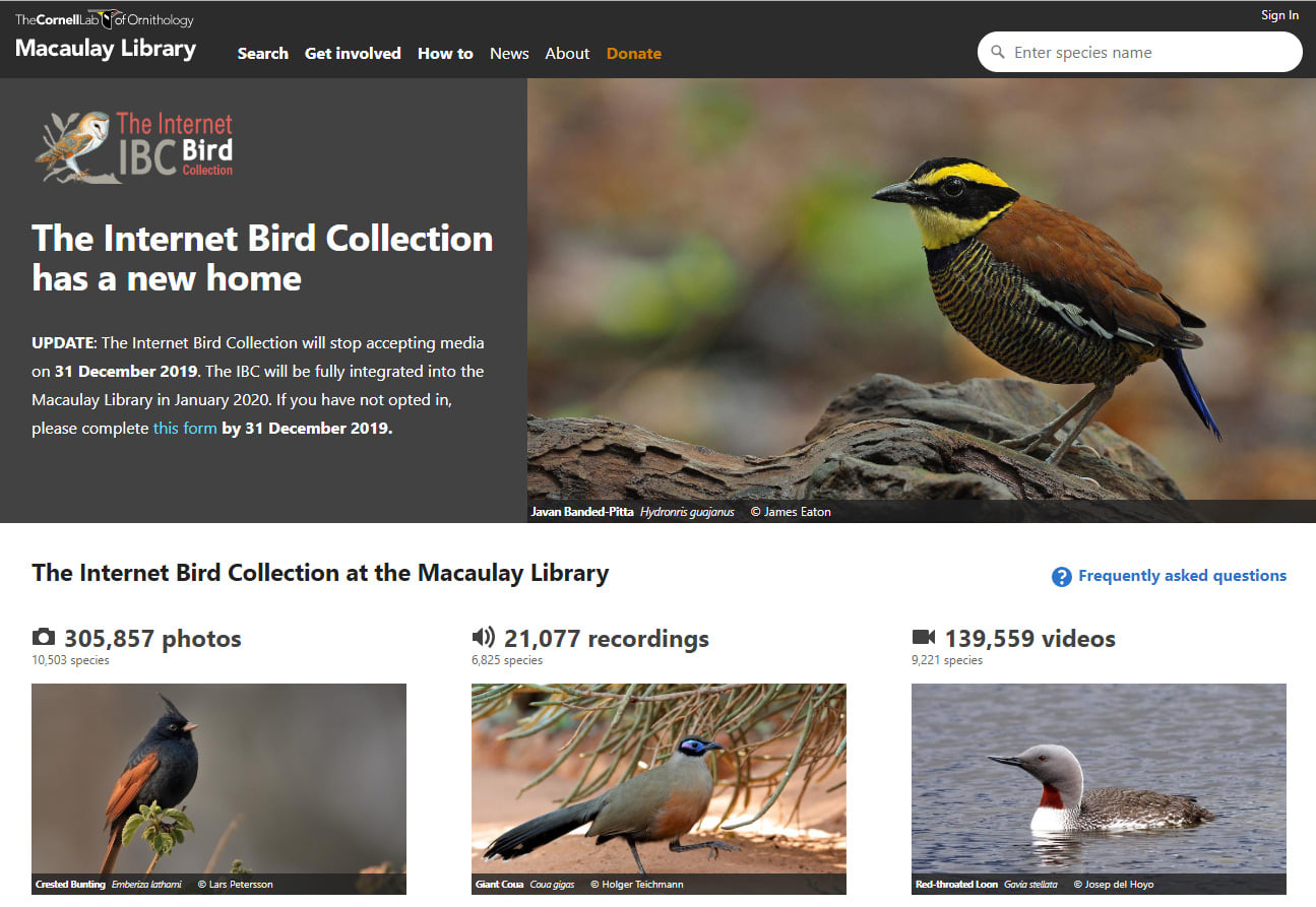 Internet Bird Collection