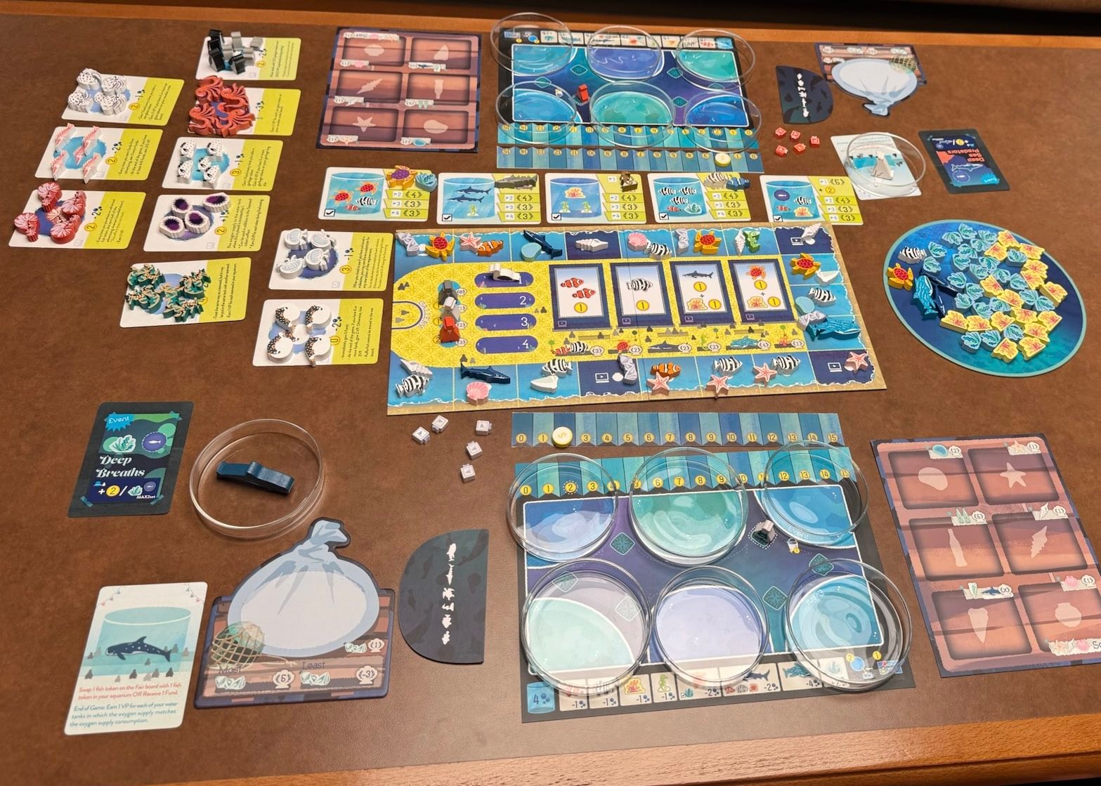 Aqua garden game with expansions played