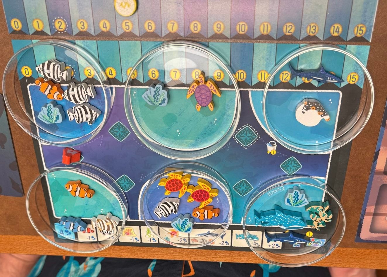Aqua garden game with expansions played