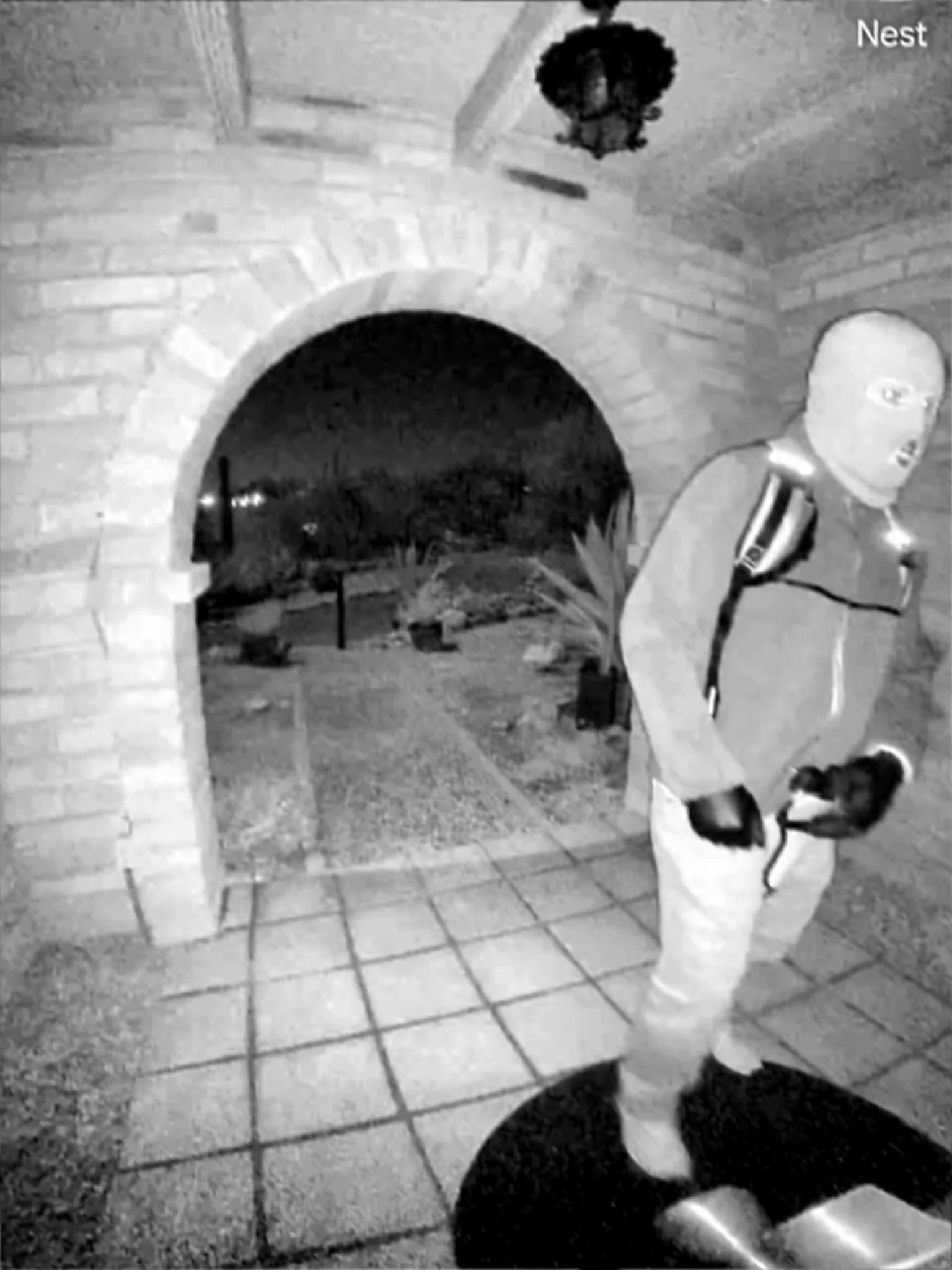 Rob - This is an image released by the FBI in the Nancy Guthrie ...