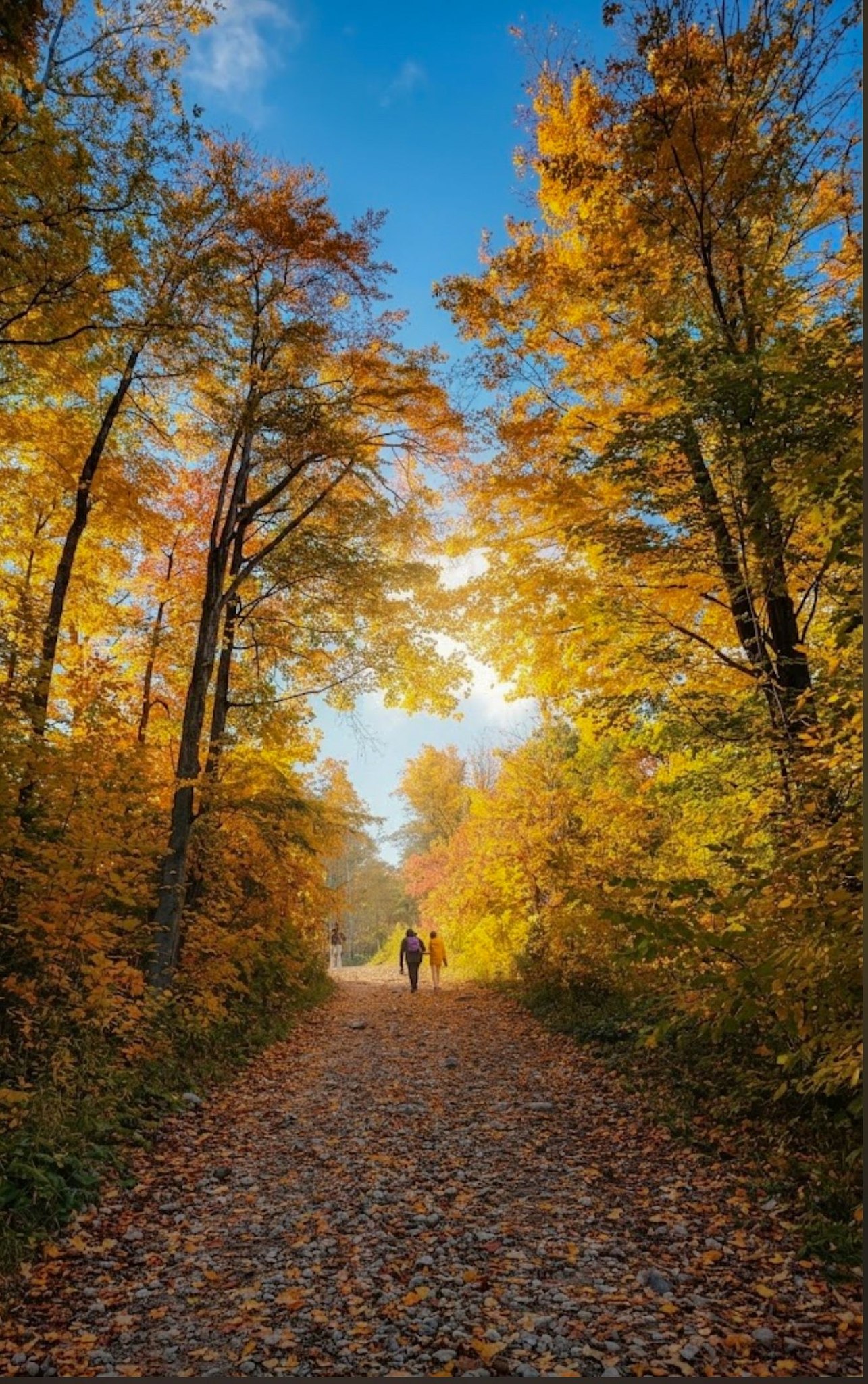 Autumn paints in colors that make every step feel like magic