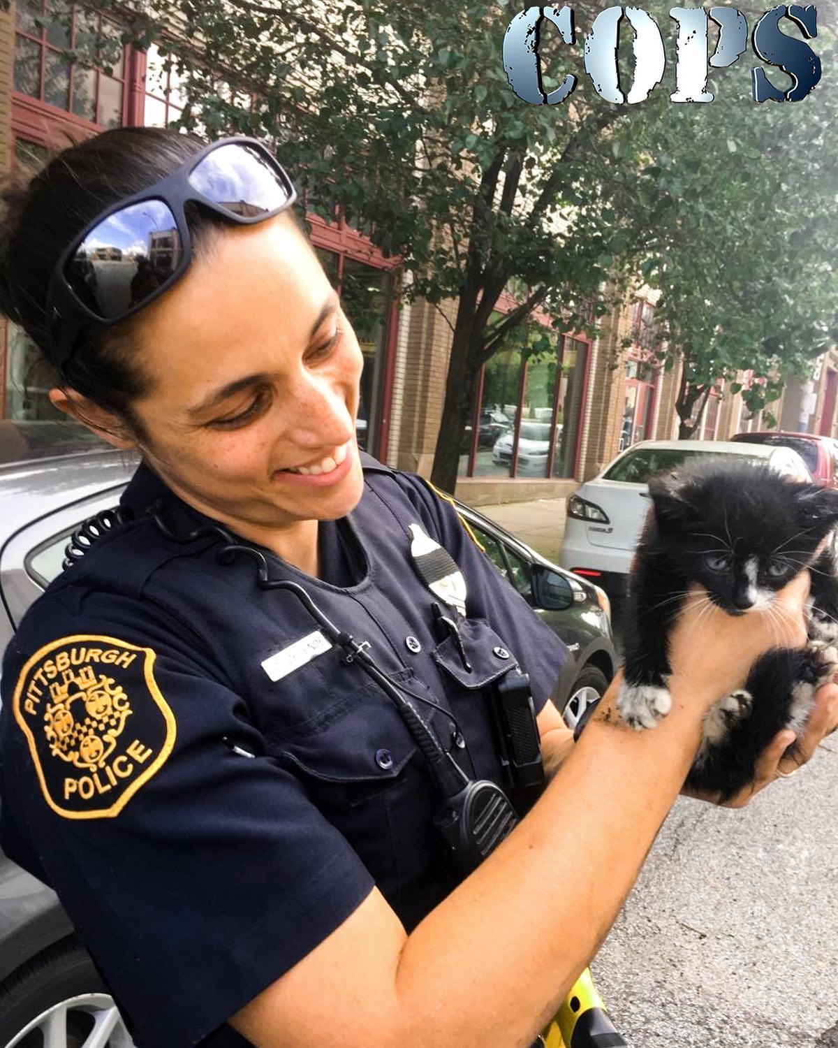 COPS - 🚨Officer Celena Celender rescues a kitten that was hiding in the ...