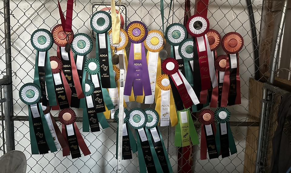 ADGA ROA’s Mid-Atlantic | Facebook