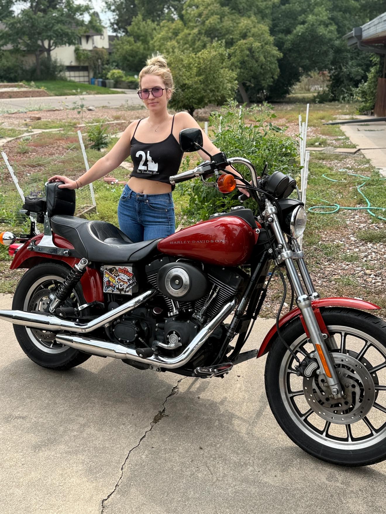 Classic Harley Davidson FXDX models