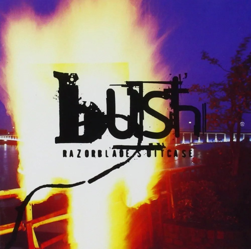 Bush