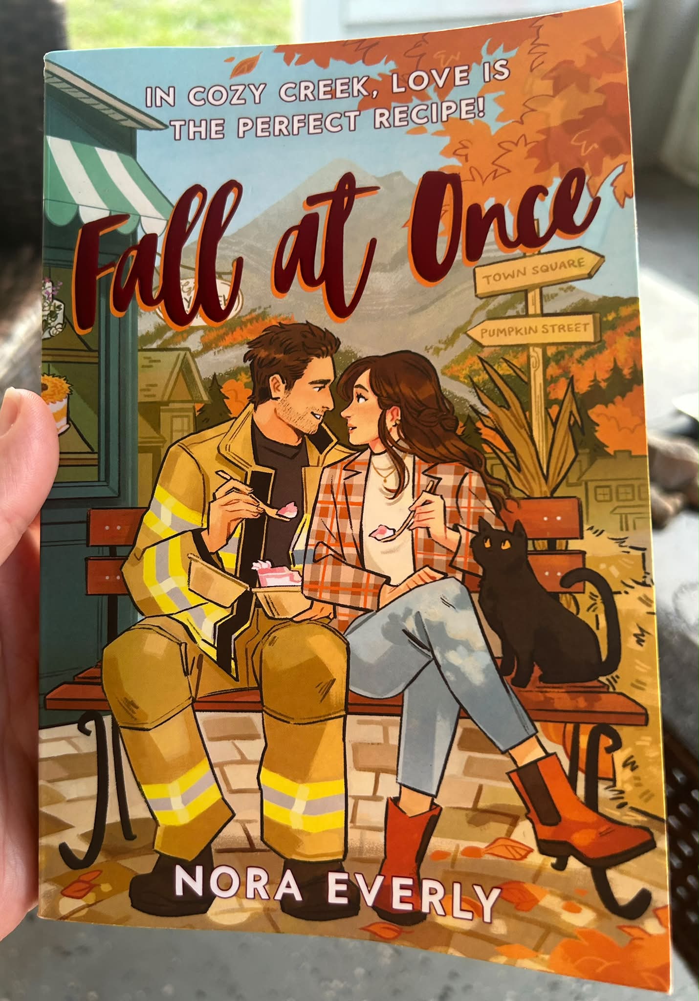 Cozy fall themed romance novel review