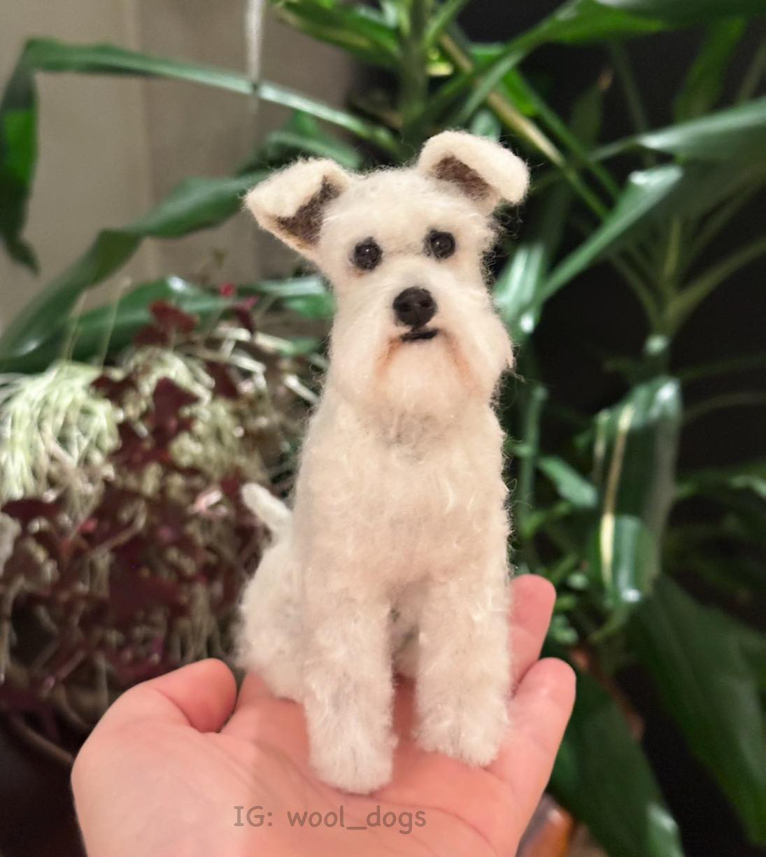 ஐ羊毛フェルト੯•`໒ Miniature Schnauzer ஐ羊毛フェルト੯•`໒