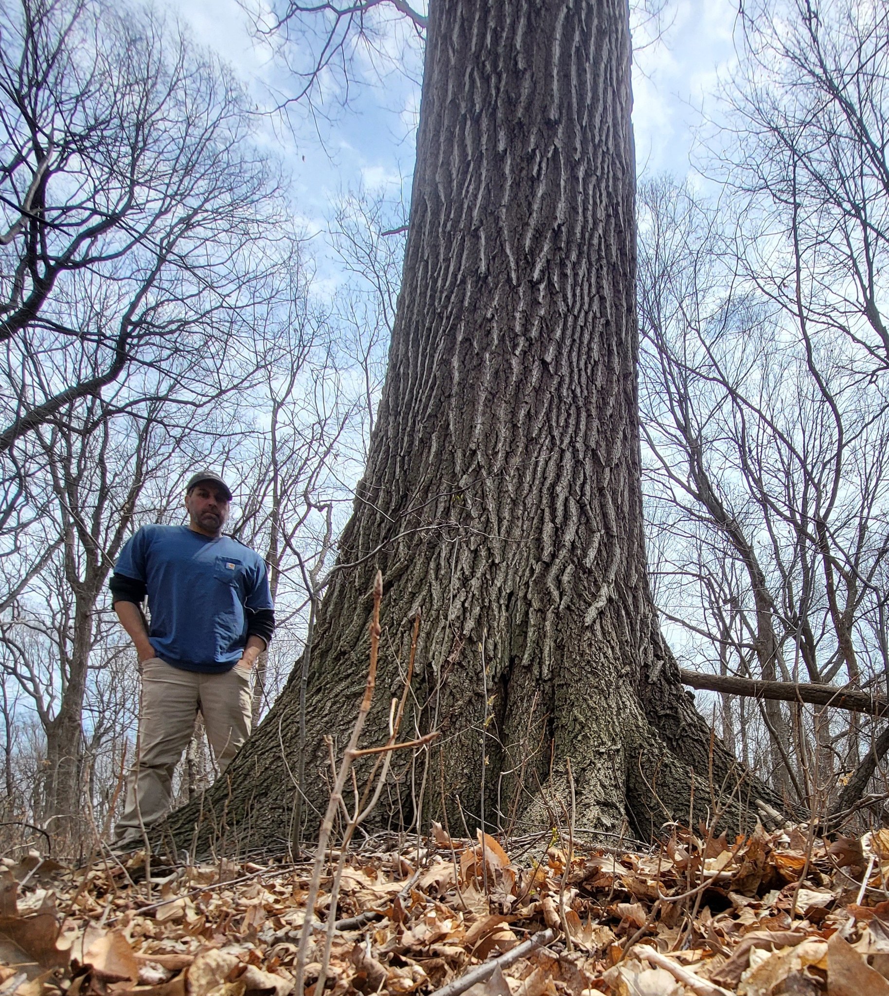 Big Tree Seekers | 172