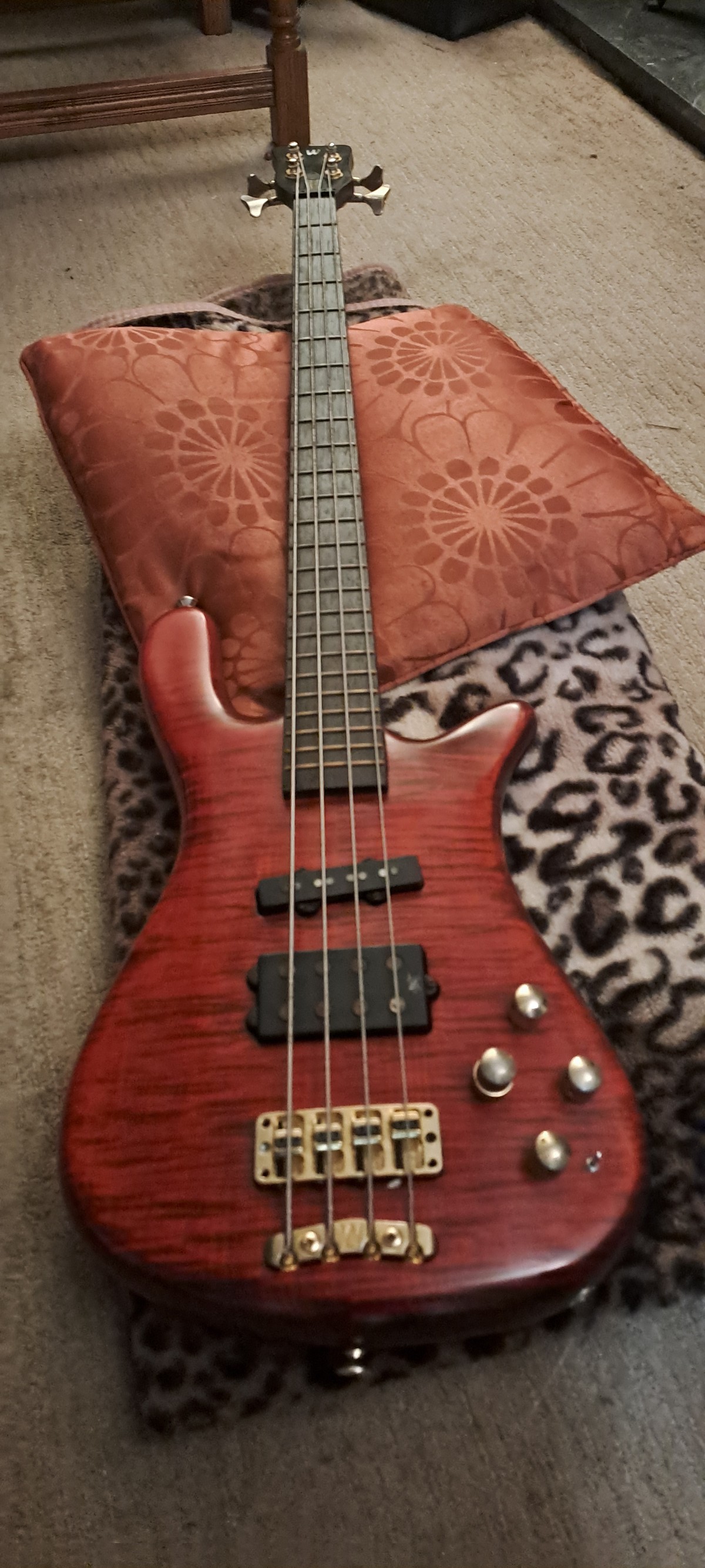 2004 Warwick Streamer LX Jazzman 5 🧡💛🧡 . #jazzman