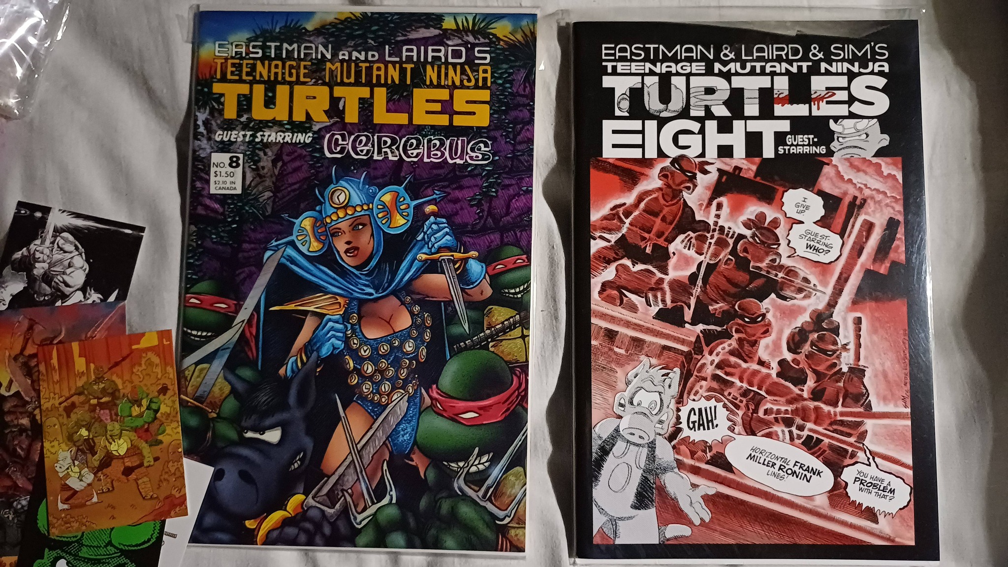 Recently I got my hands on the original Teenage Mutant Ninja