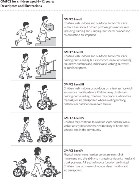 Orthobullets Illustration Shows The Gross Motor Function Classification System Gmfcs For Patients Aged 6 12 Years With Cerebral Palsy Facebook