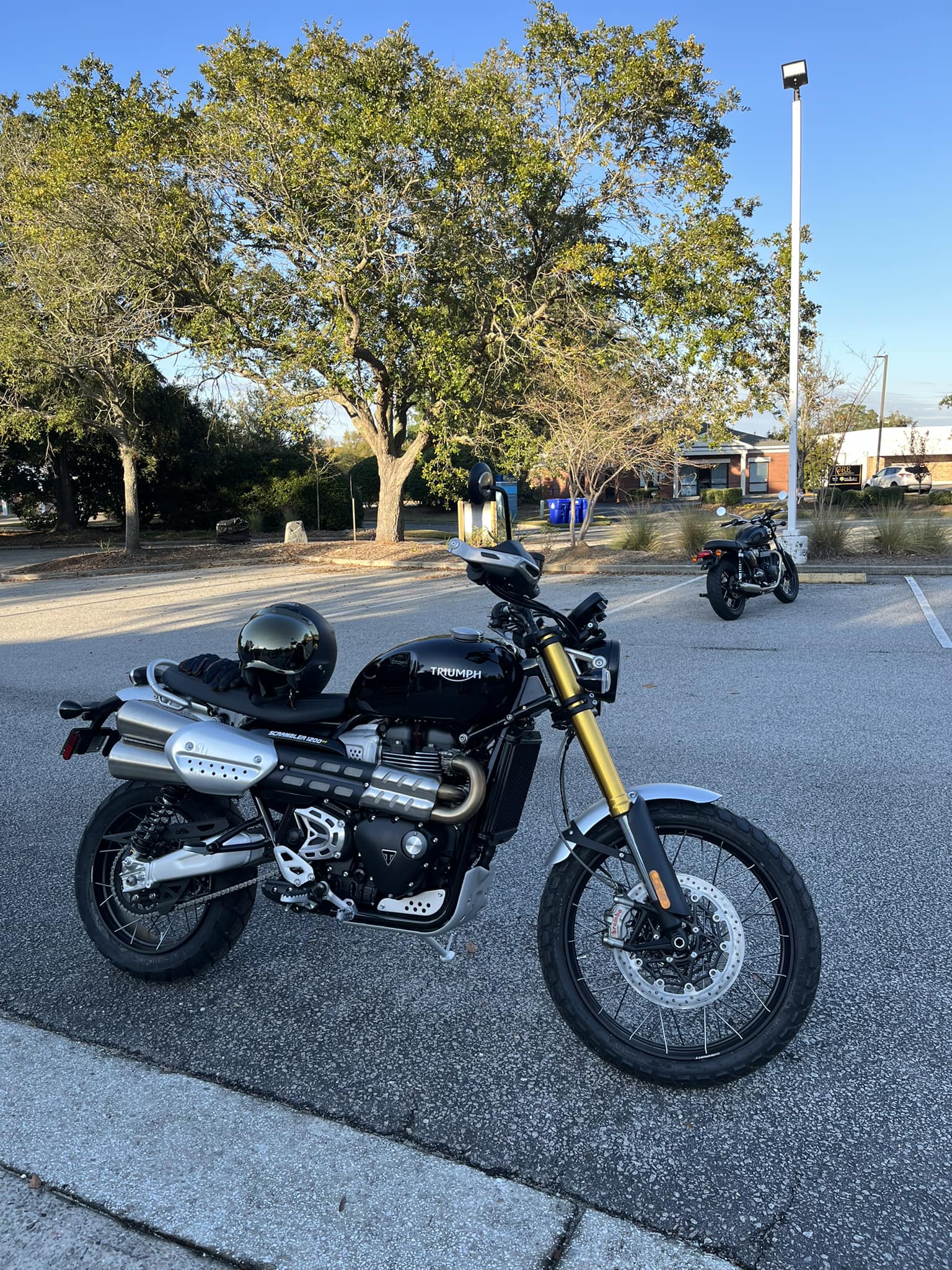 Goodbye to my Triumph 1300and what's next! You can't keep them