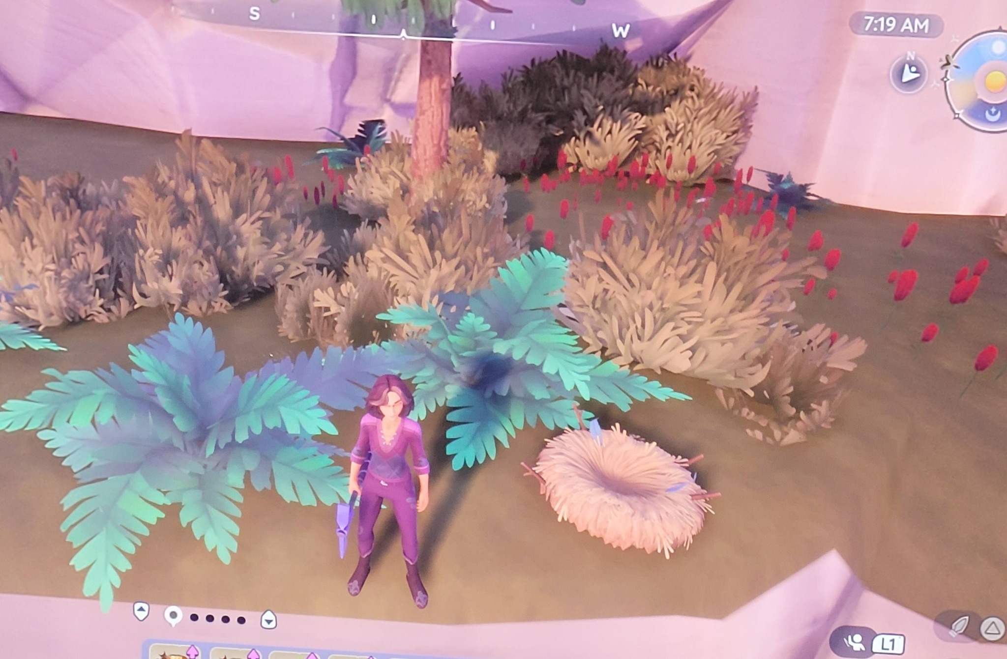 Anyone know why this nest is marked on the map. I can't interact