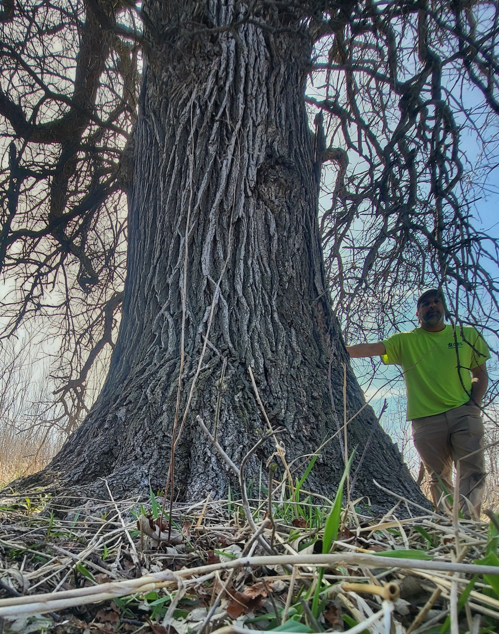 Big Tree Seekers | 188