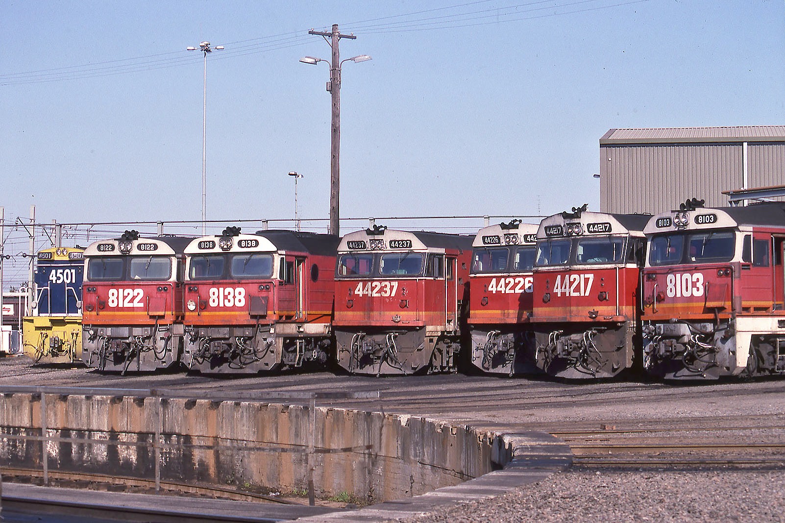 NSW Railways - Past and Present | A line up 81s and 442s at Broadmeadow ...