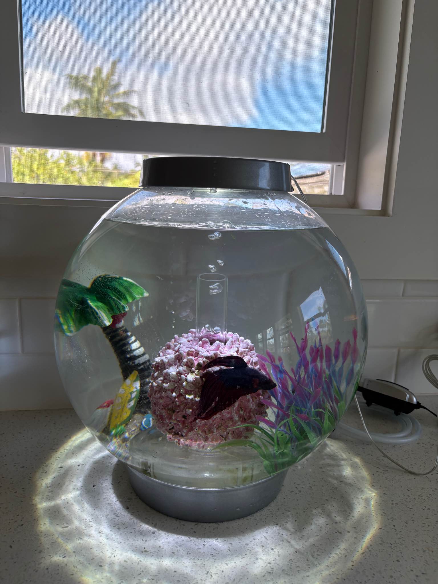 biorb fish aquarium fish tank 8 gallon bubbler accessories Bubble Tube inspired by the iconic woodland red fungi Biorb Mushroom Trunk Ornament