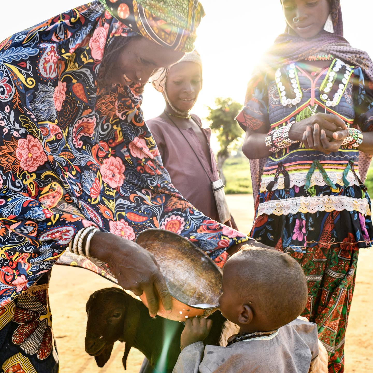 Robin - Cattle, and the milk they provide, are central to nomadic ...