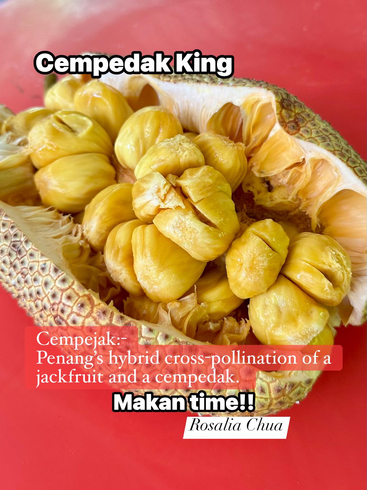 Cempedak fruit description and uses