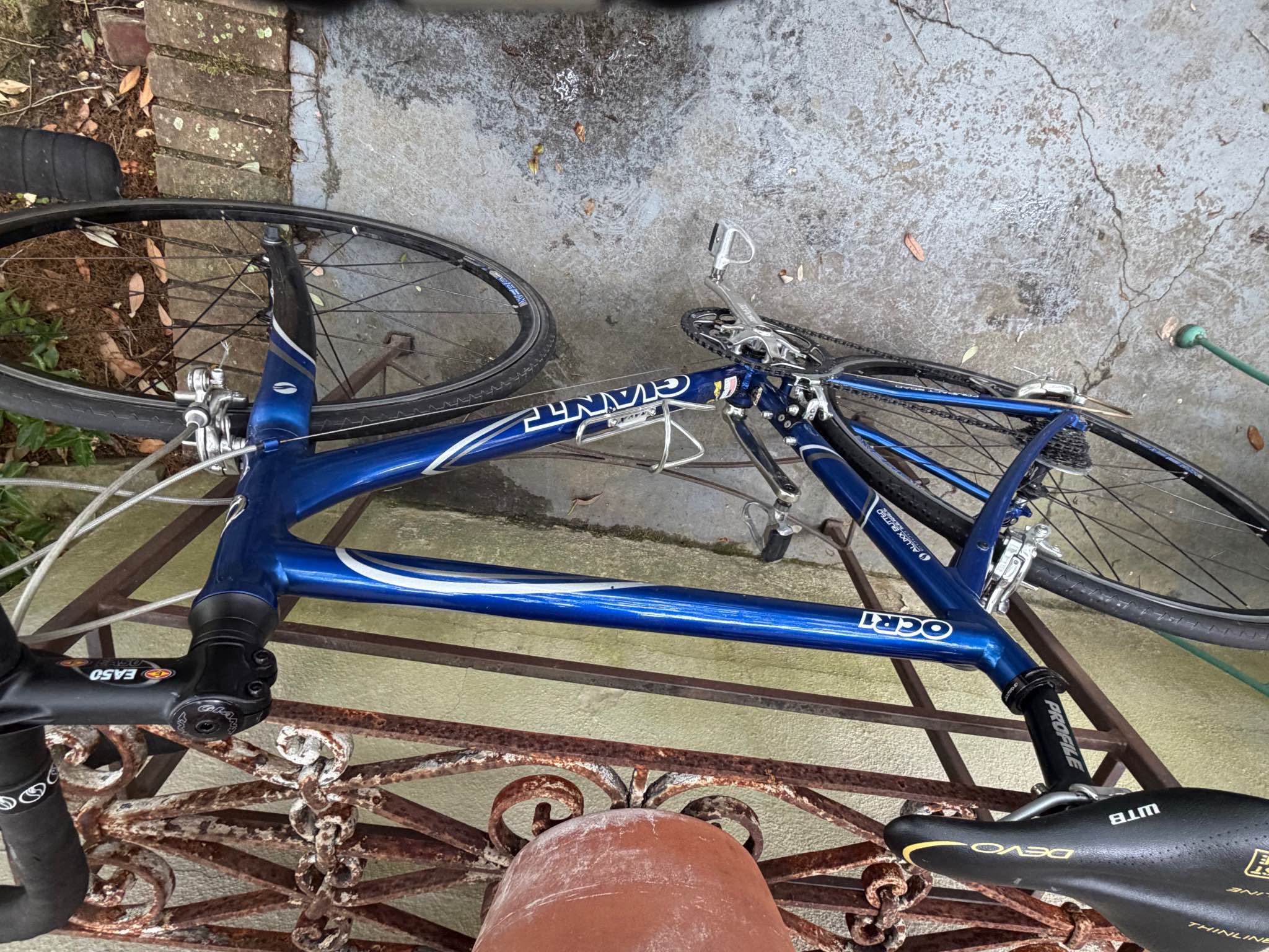 Giant OCR 2600 Road Bike: Shimano Tourney 2X7 speed drivetrain