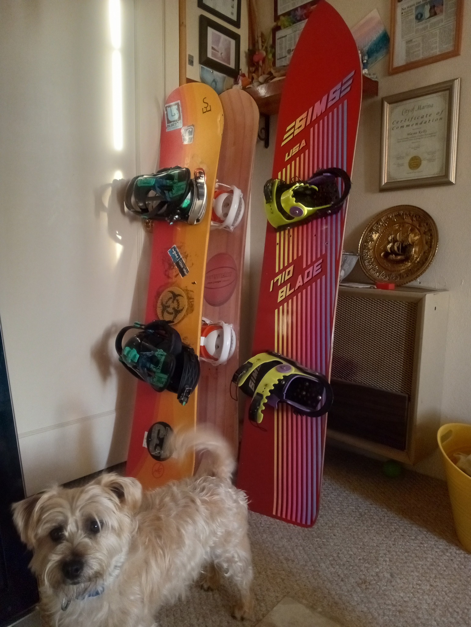 Sims Daytona 172 snowboard for carving