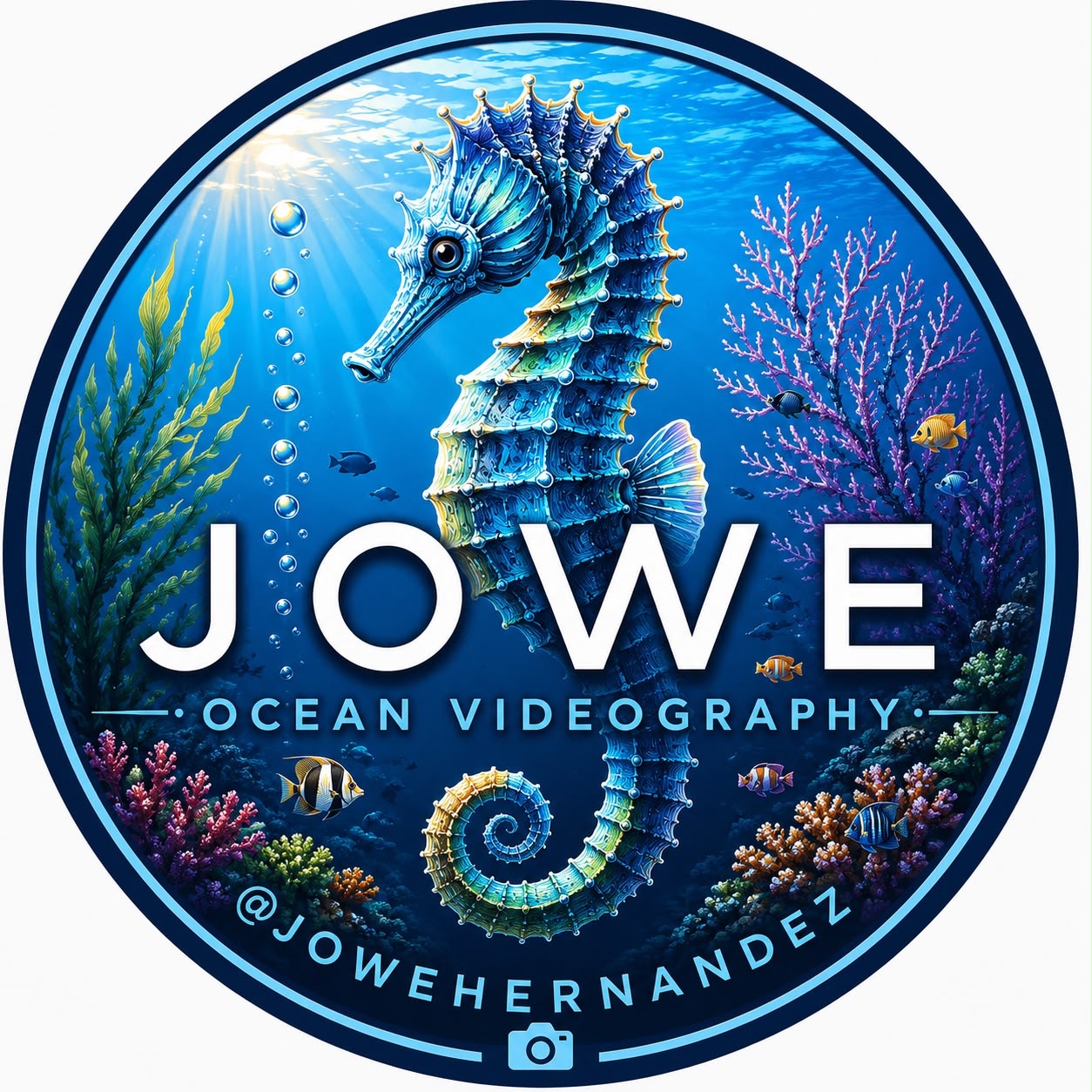 #video #scuba #scubadive #dive #ocean | Jowe Hernandez