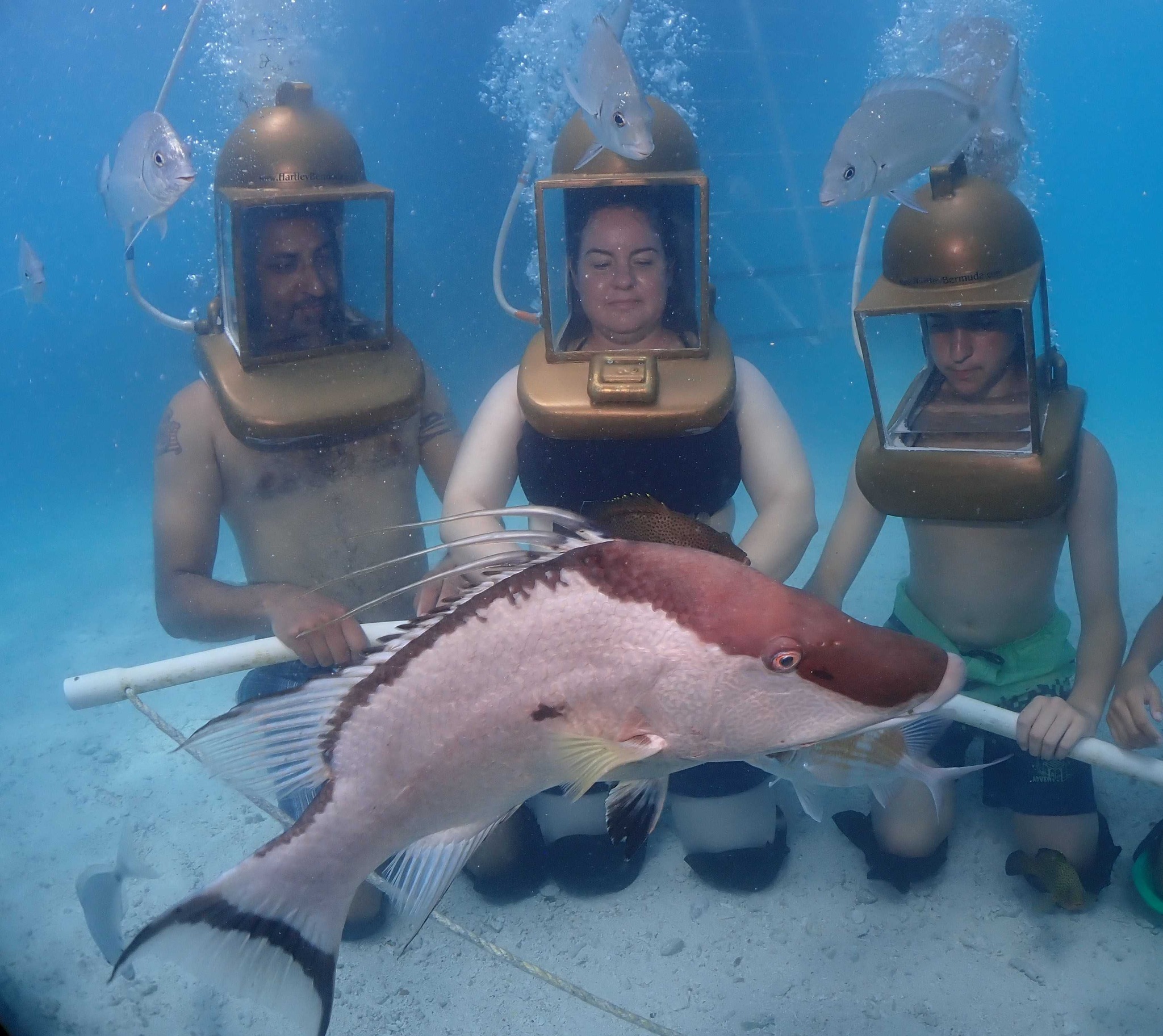 bell helmet diving bermuda Scuba Helmet diving experience in Bermuda
