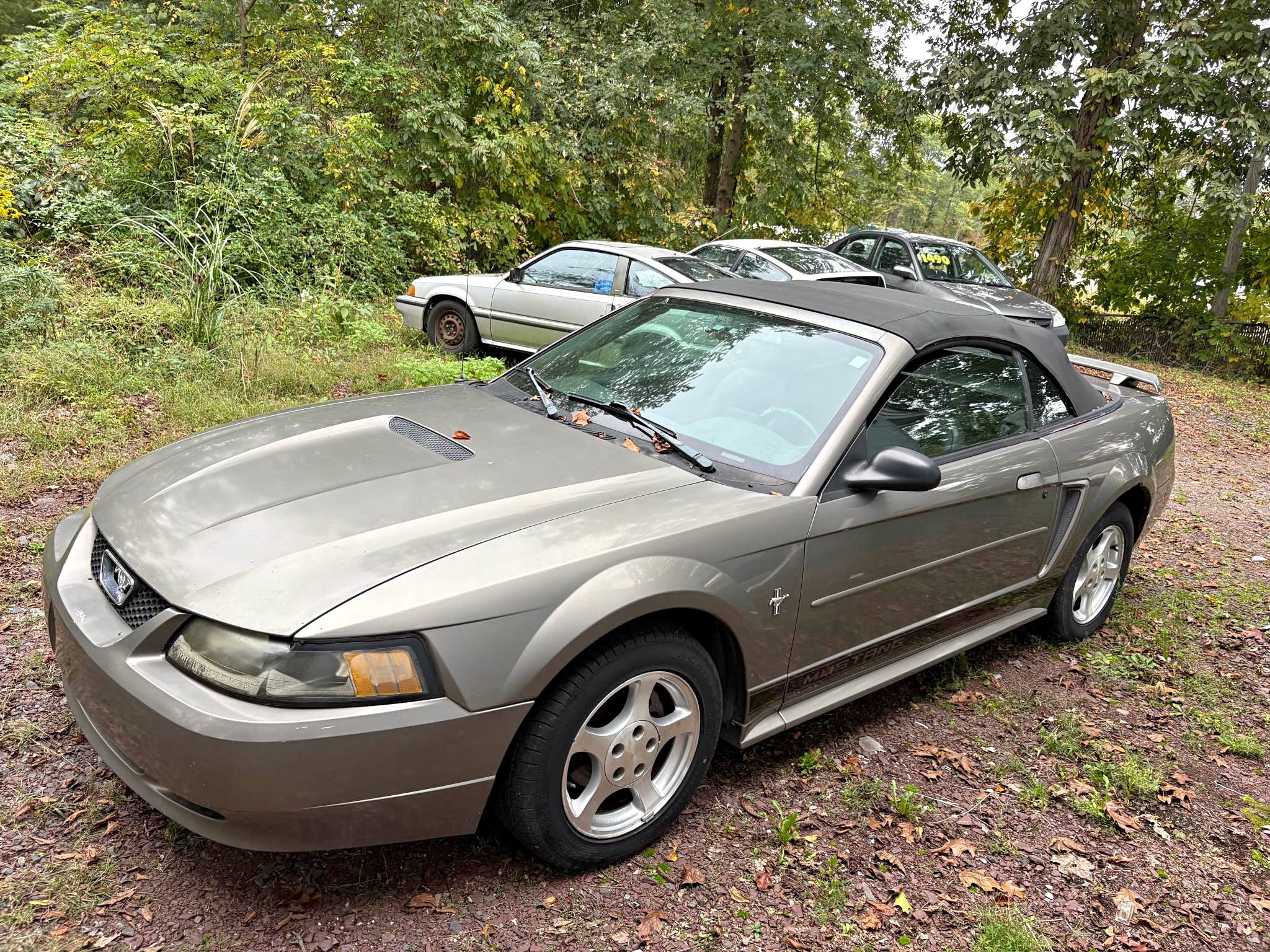 Best HD Pictures about  2002 Ford Mustang V6  with No AI Images
