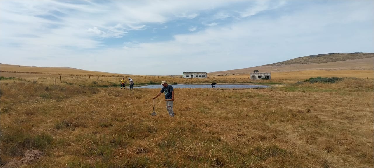 Darling Wildflower Society - Snakes not only form part of South Africa ...