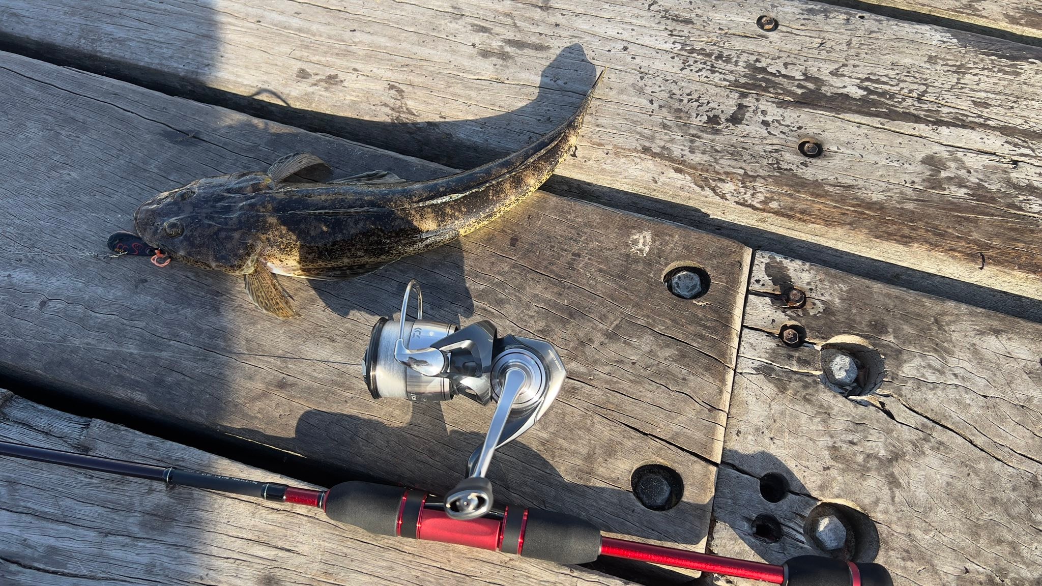 トニー·モンタナ フック変更 What's a fix for hooks coming off the ZX40 reel?