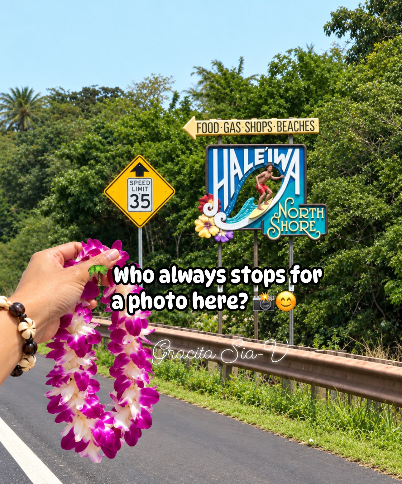Iconic Haleʻiwa North Shore sign and lei in Honolulu, Haleiwa, HI