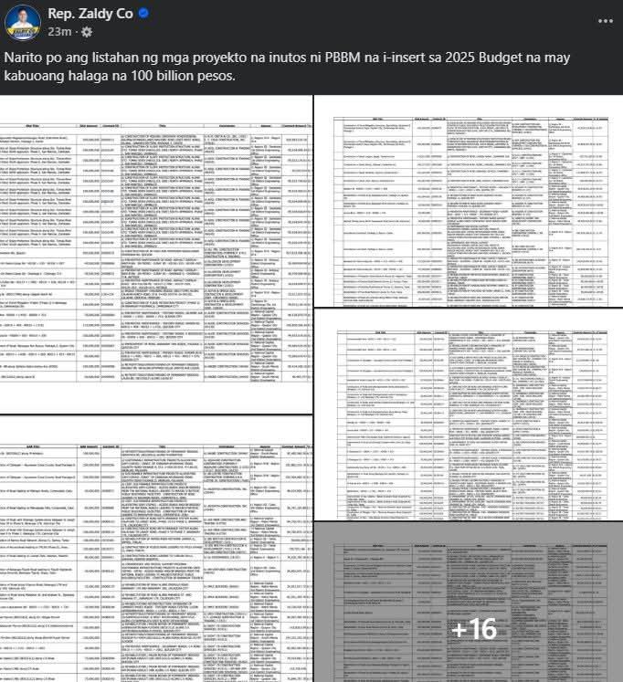 Dadat - 🎯 MINDANAO PROJECTS UNDER THE ALLEGED 2025 BUDGET INSERTION ...