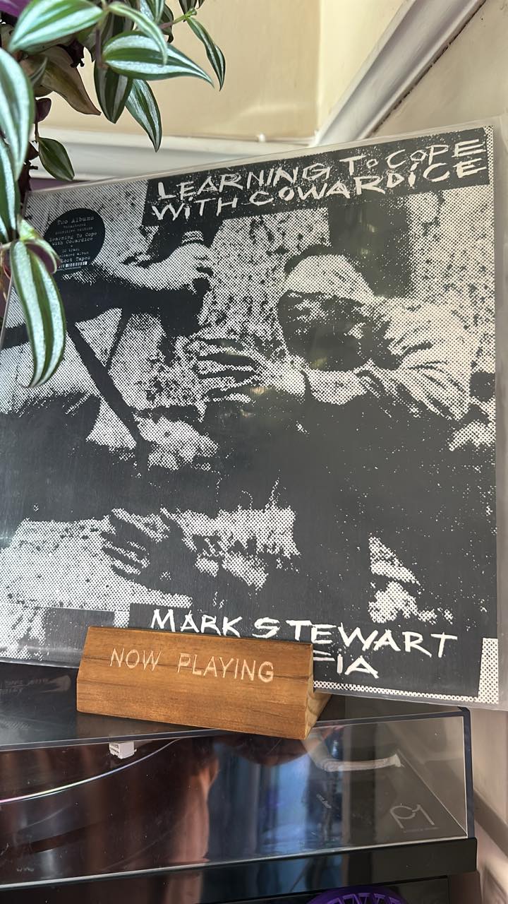 Mark Stewart and the Mafia's album in East Lansing, Michigan
