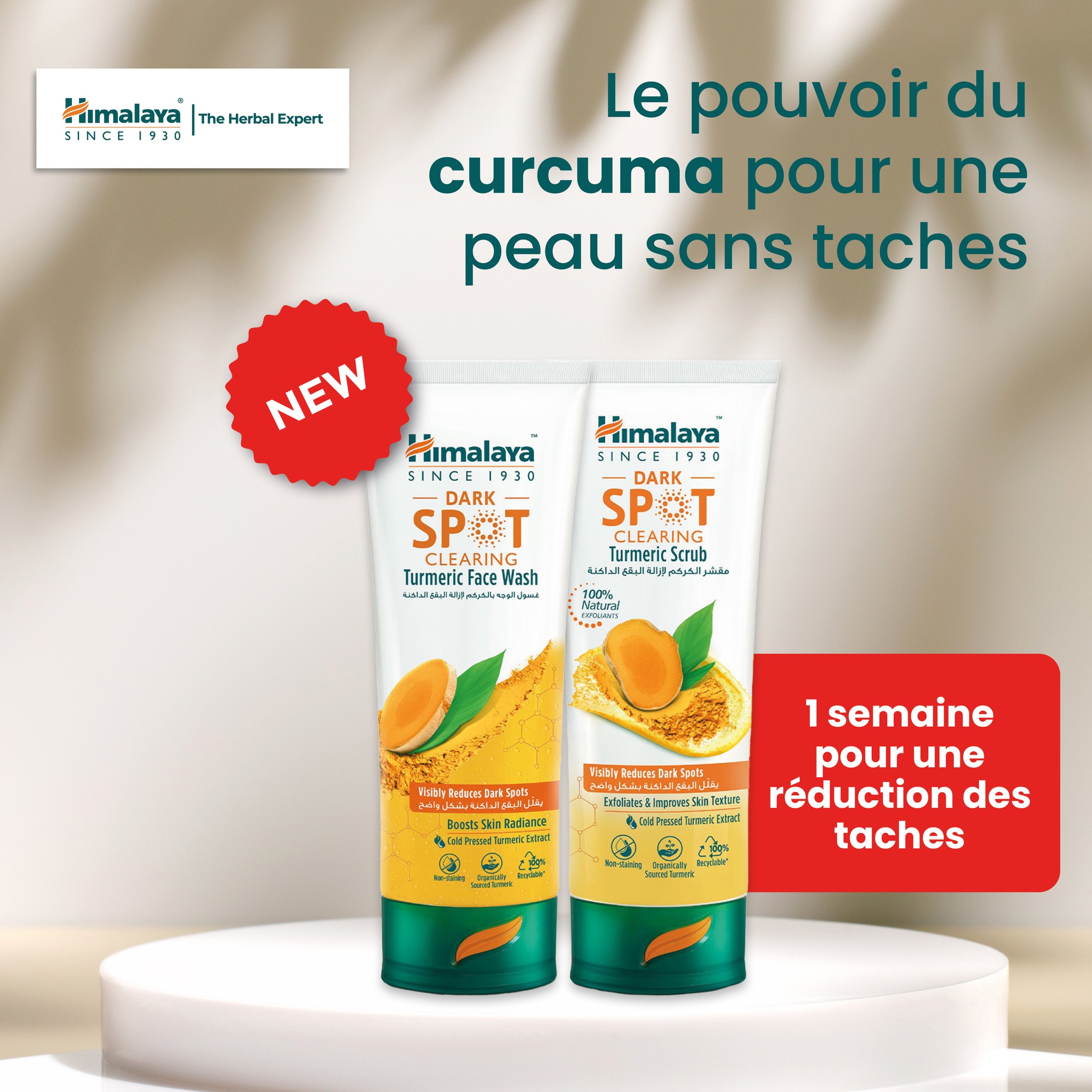 Détecteur de Tension sans Contact Testeur de Tension avec Sensibilité