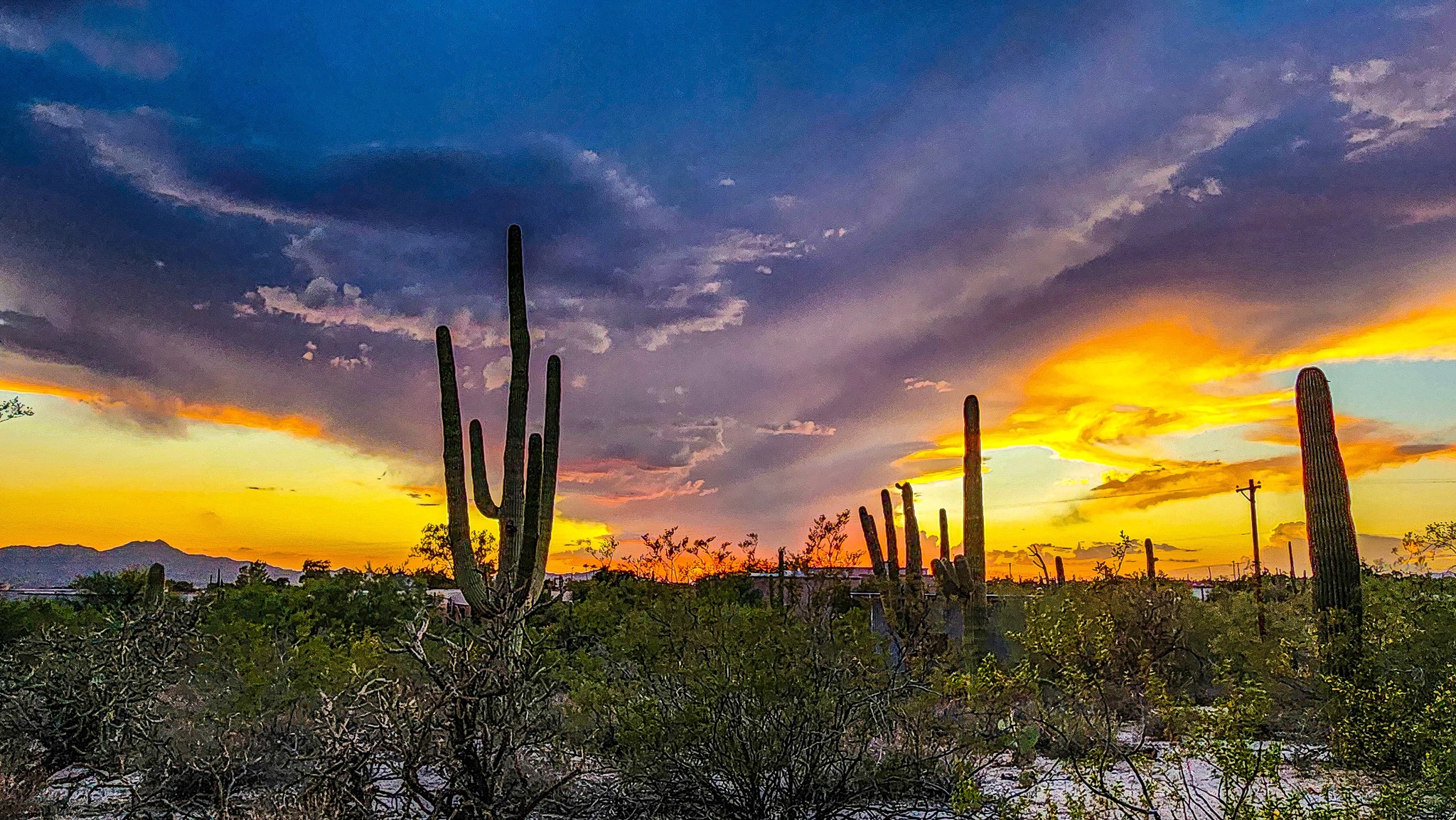 Spectacular sunset in Avra Valley, Arizona with rain showers