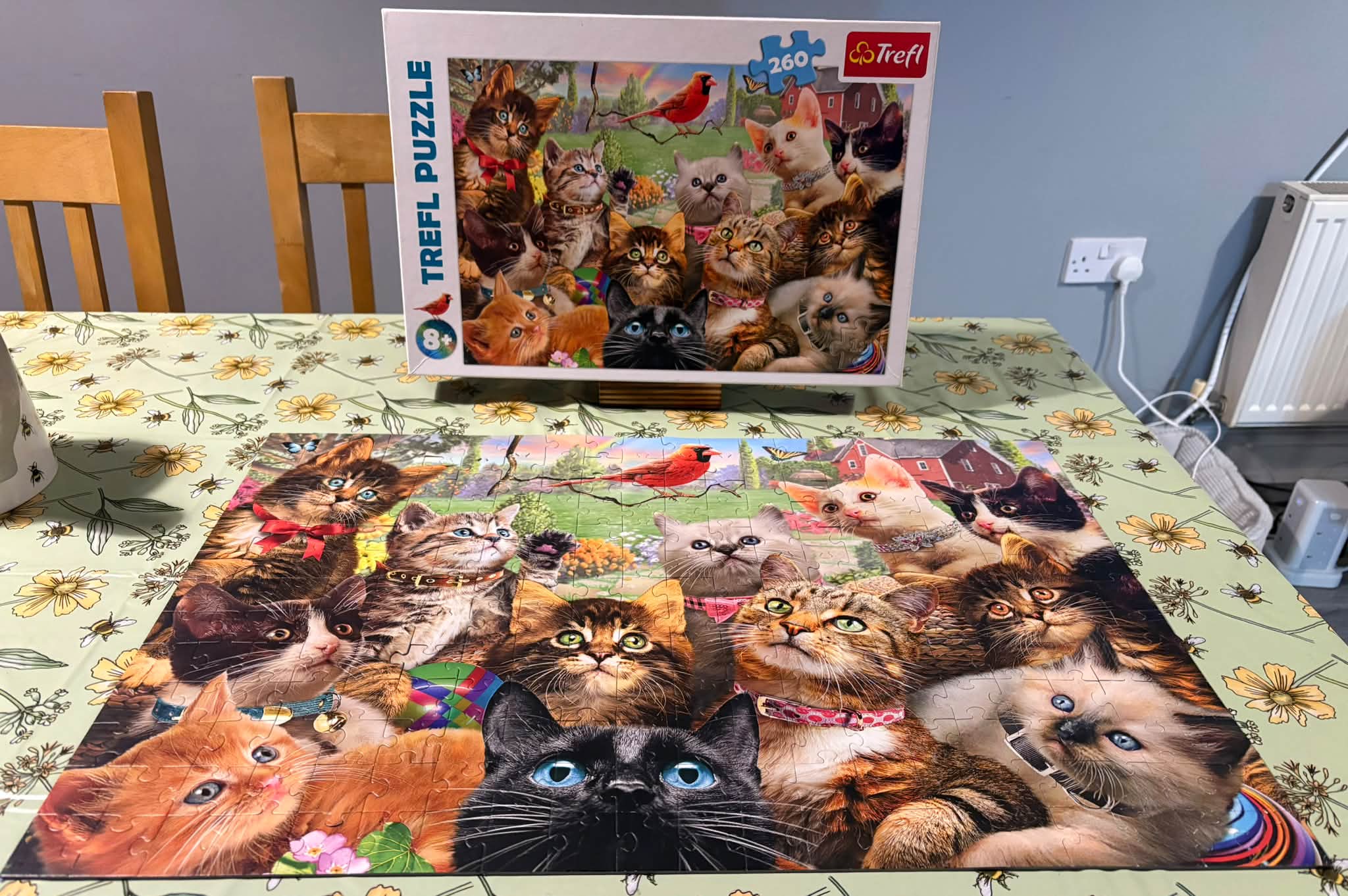 Cats 🧩