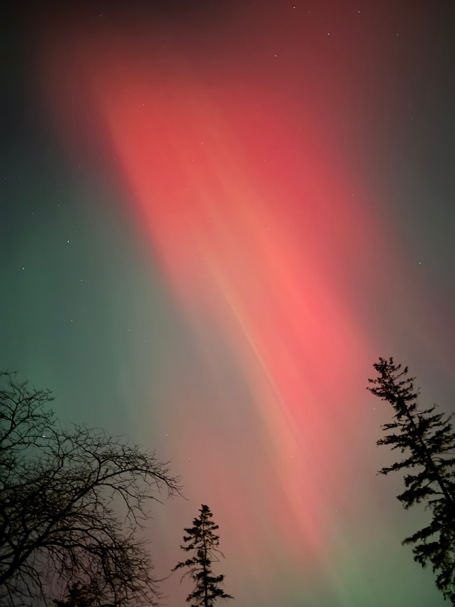 Scott Dibble - The light here on earth keeps us plenty... | Facebook