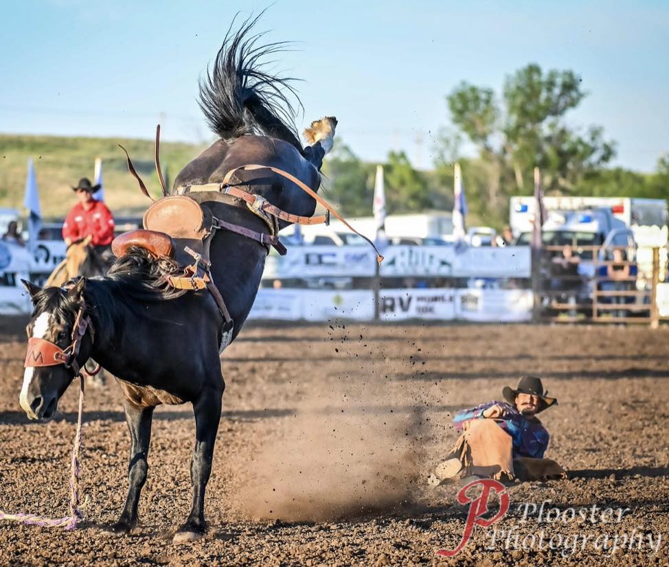 Nate - Plooster Photography has posted his photos from July 9th’s Wild ...