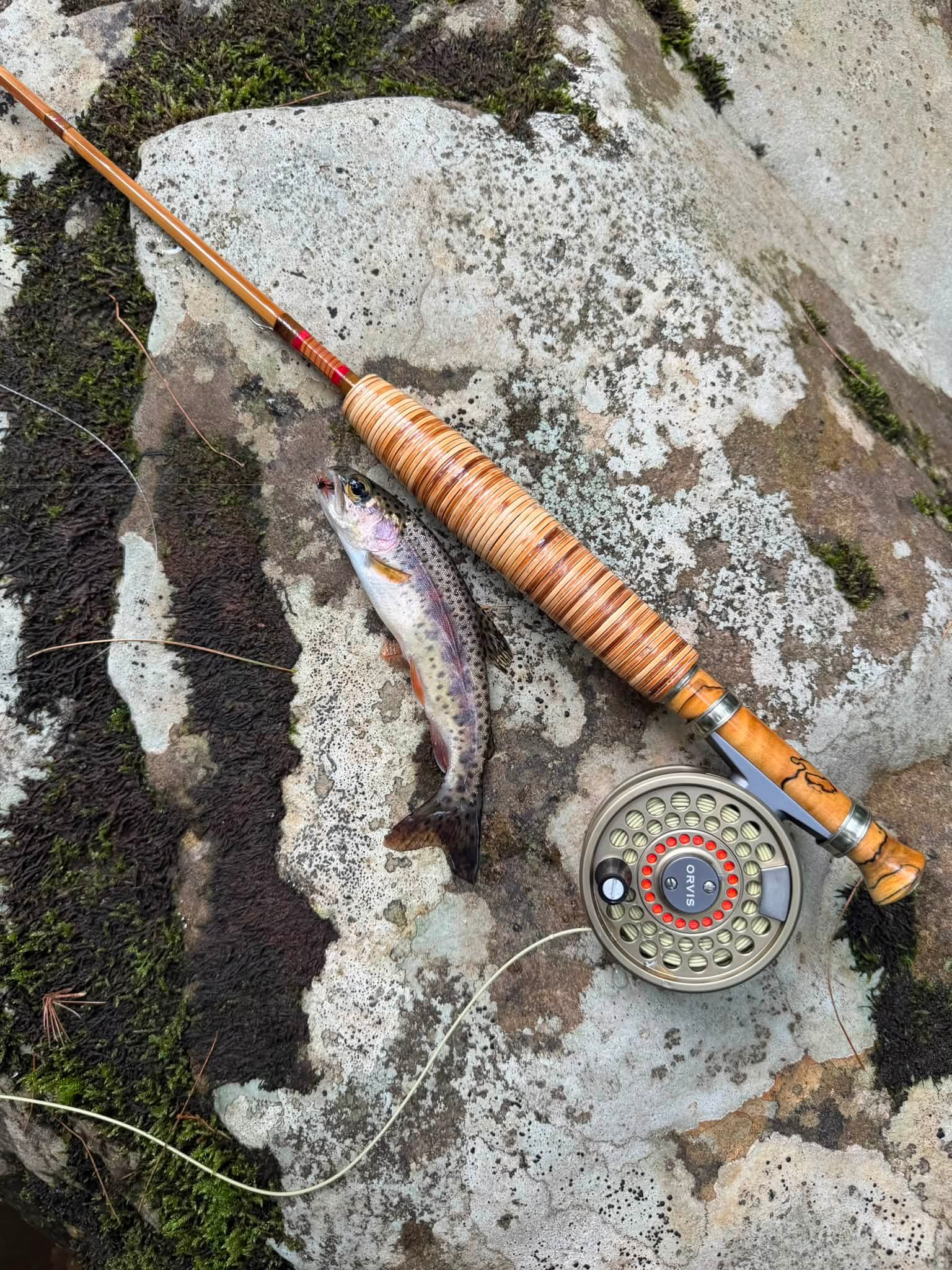 abel rove fly reels 4/6 Solid large arbor spool for 7 foot Color:Killer Clown Daiwa QC750 Ultralight Reels