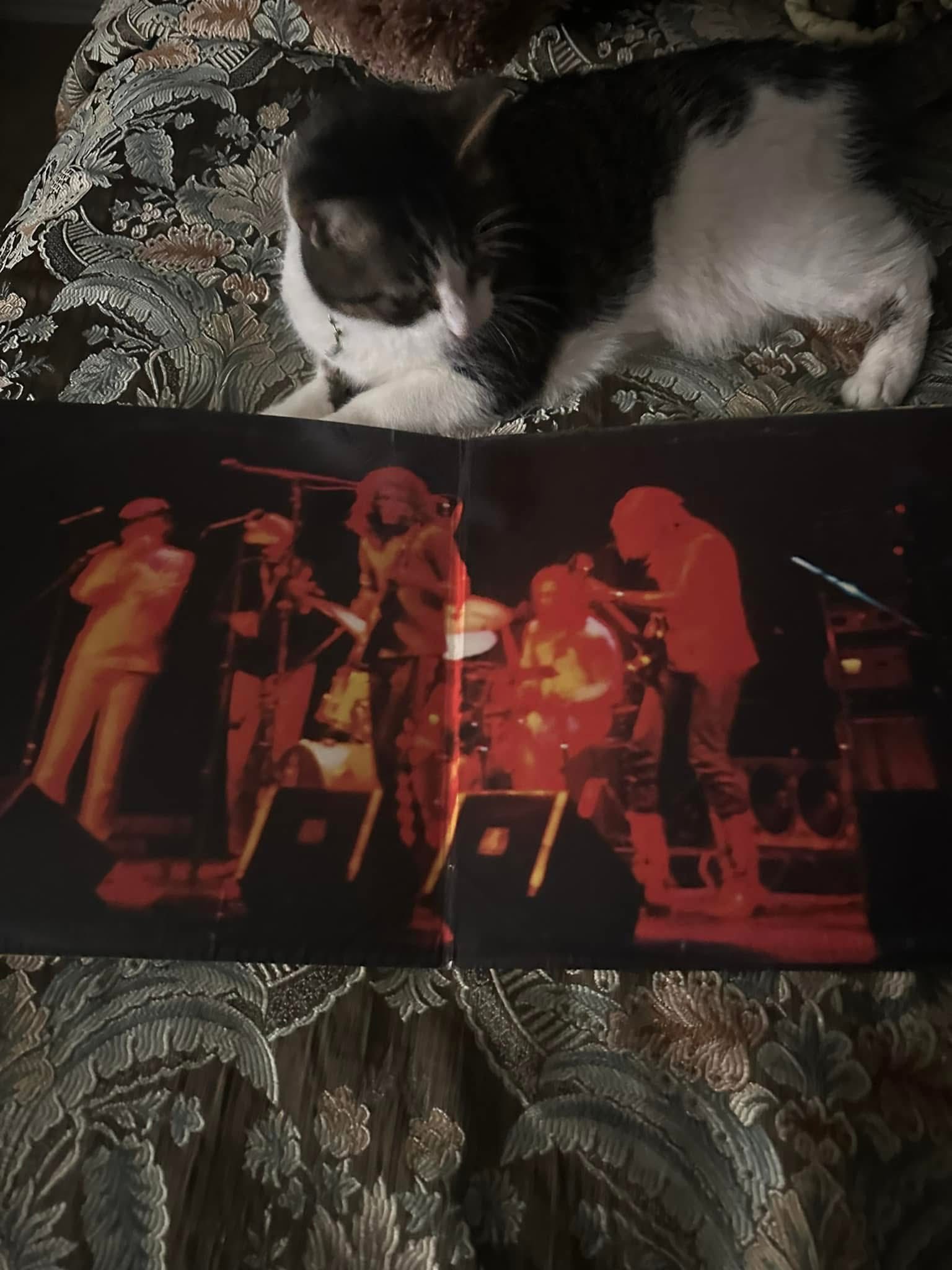 Rabbit enjoys this live, electric album from Hot Tuna from 1971.