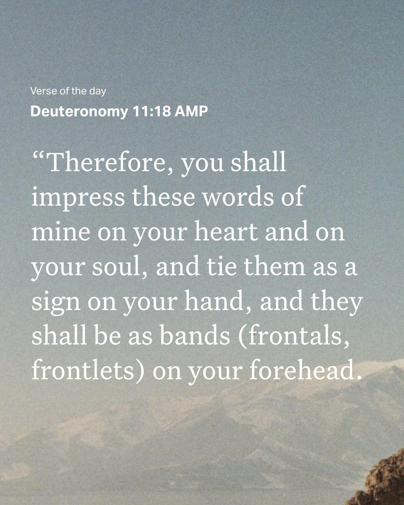 The grass withers and the flowers fall, but the Word of God endures ...