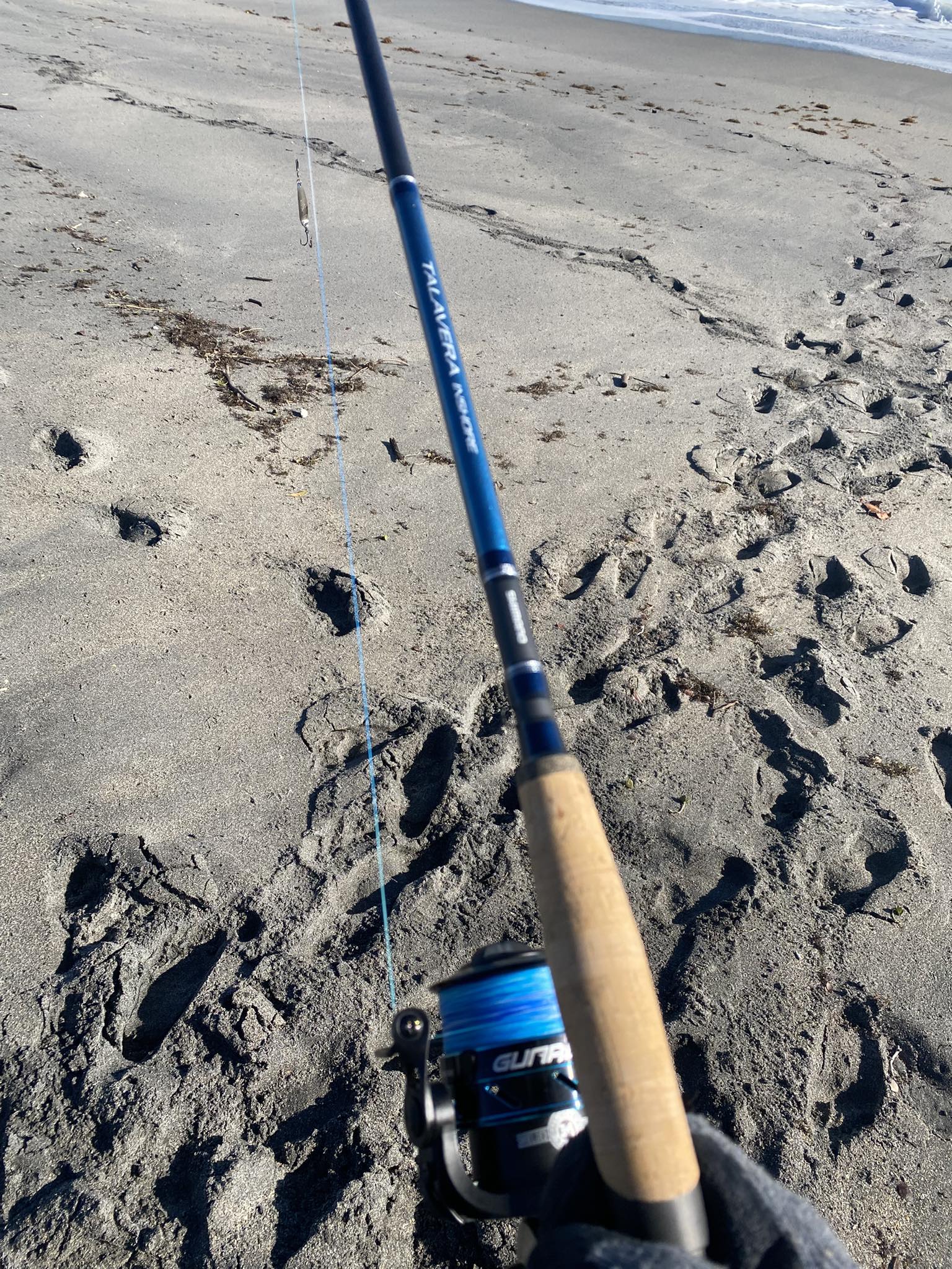 shimano 2000 reel Watch FX FC honest review on Amazon Live Shimano Stella Sw Best and spool for lasting Size:6'6 bike-parts