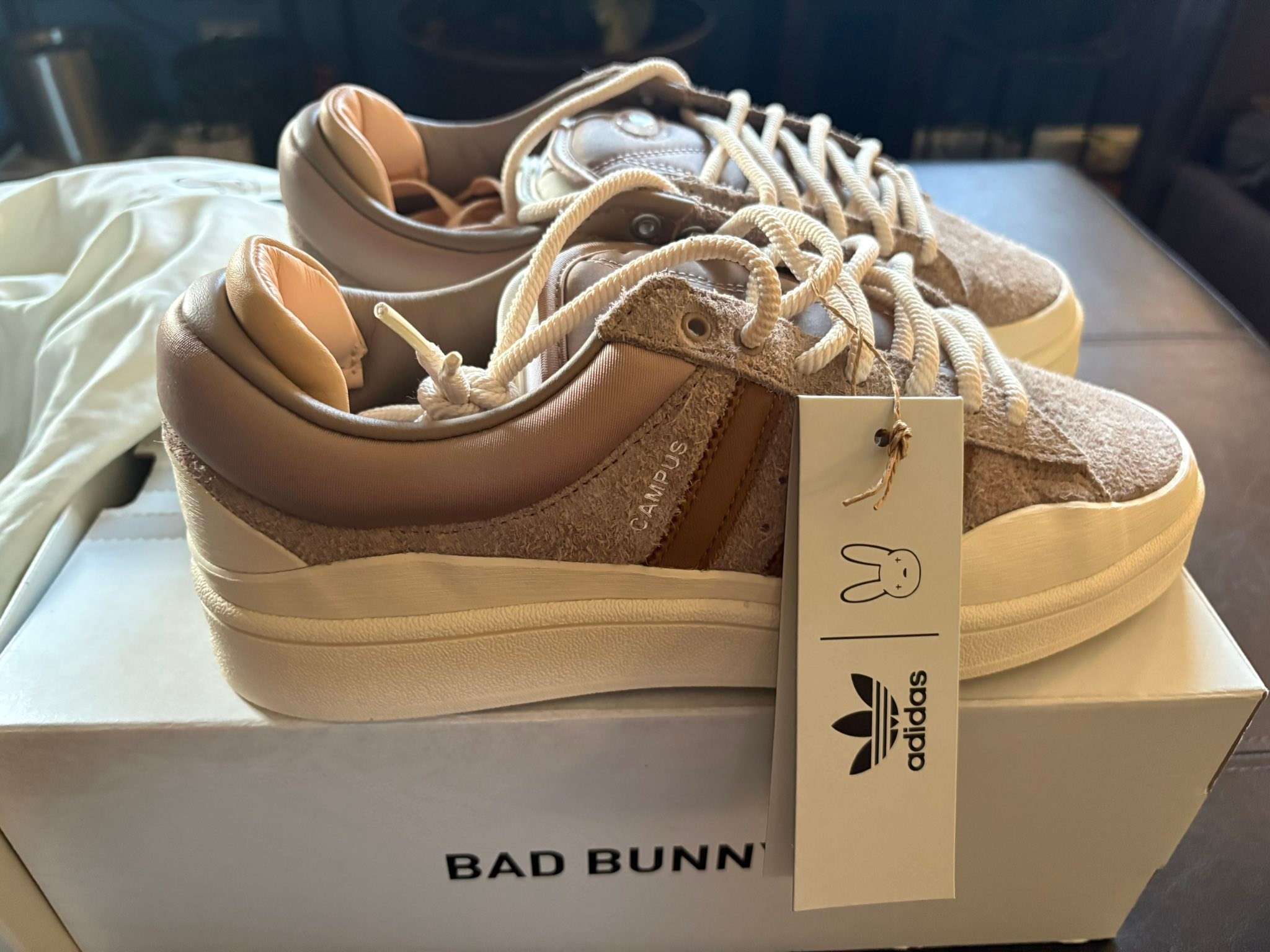 Adidas campus bad bunny